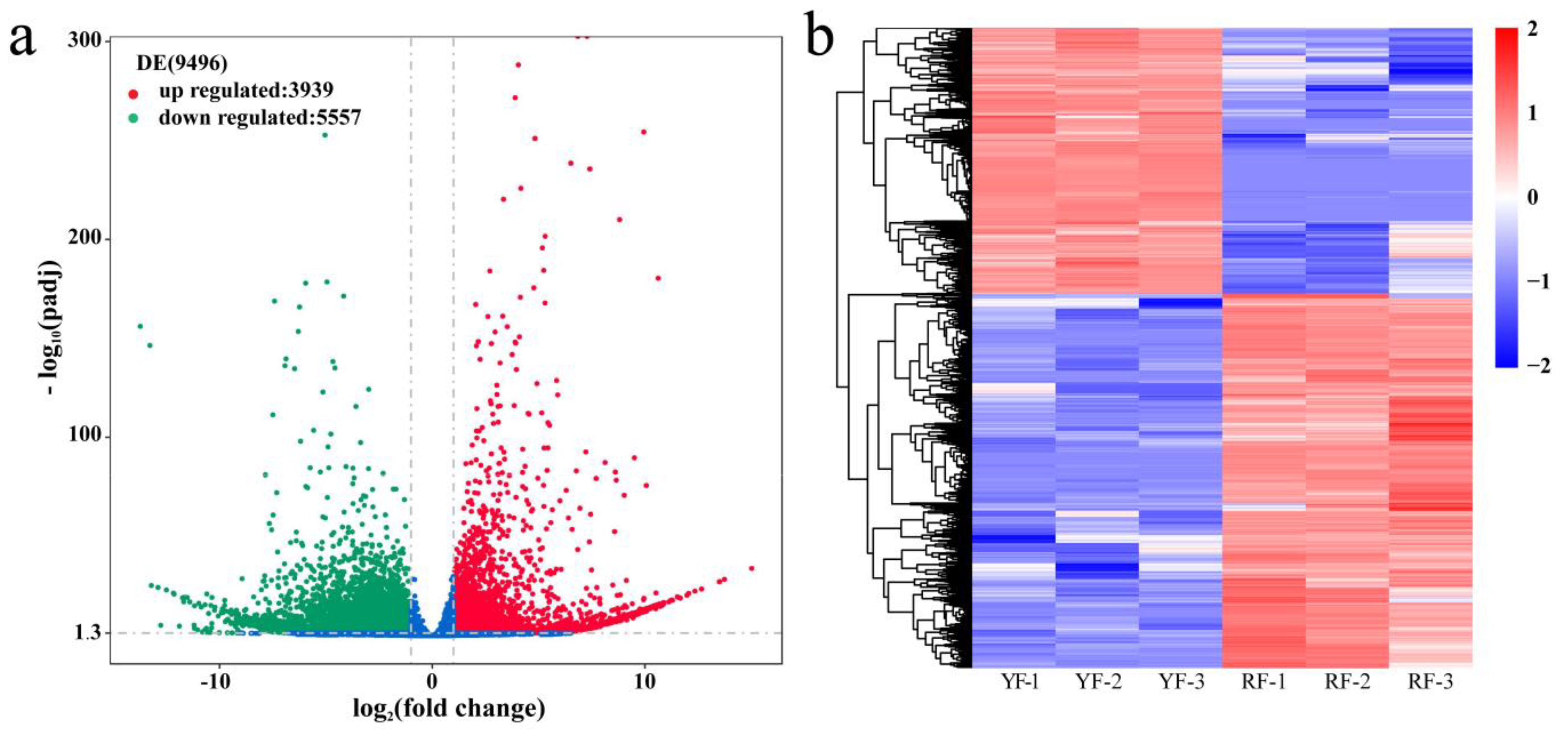 Forests 11 01065 g003 Forests 11 01065 g003