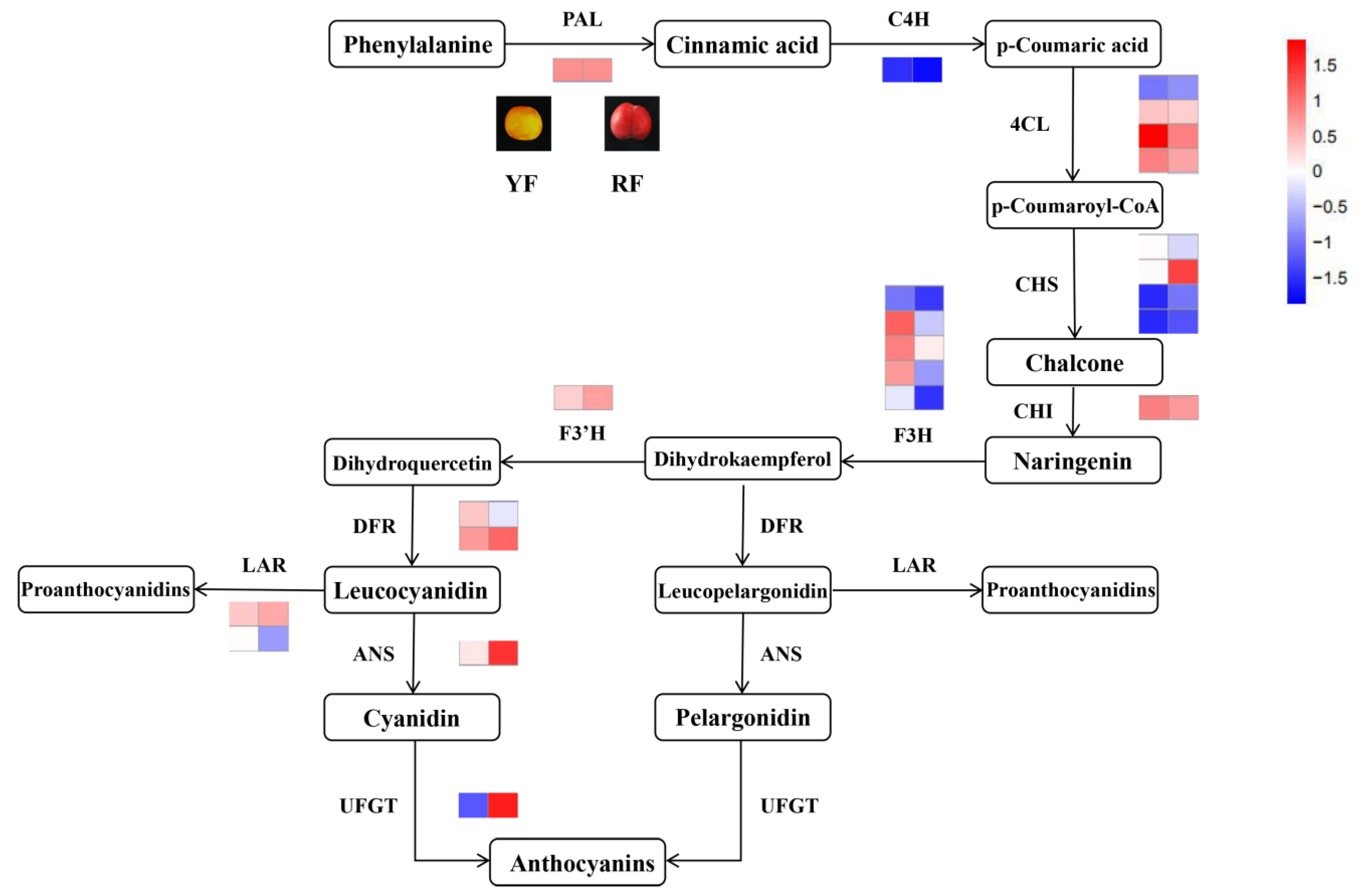 Forests 11 01065 g008 Forests 11 01065 g008