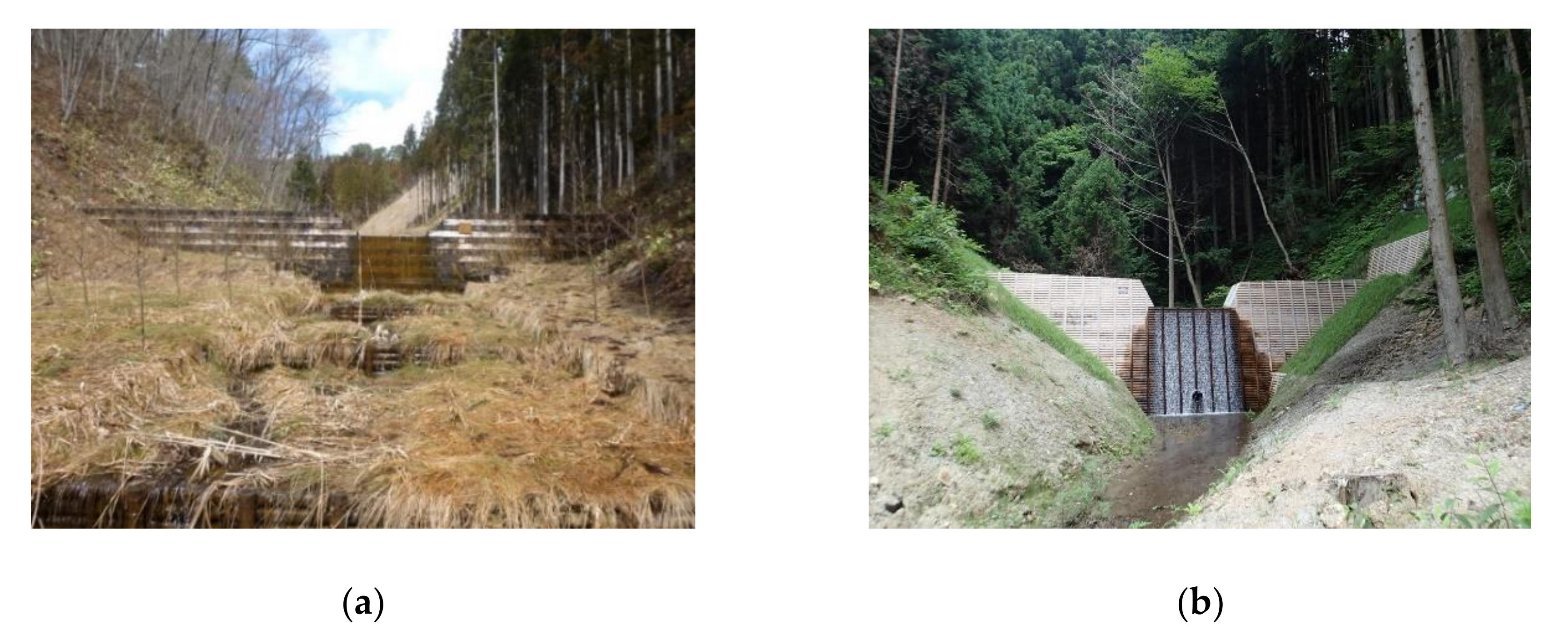 Forests 11 01073 g001 550