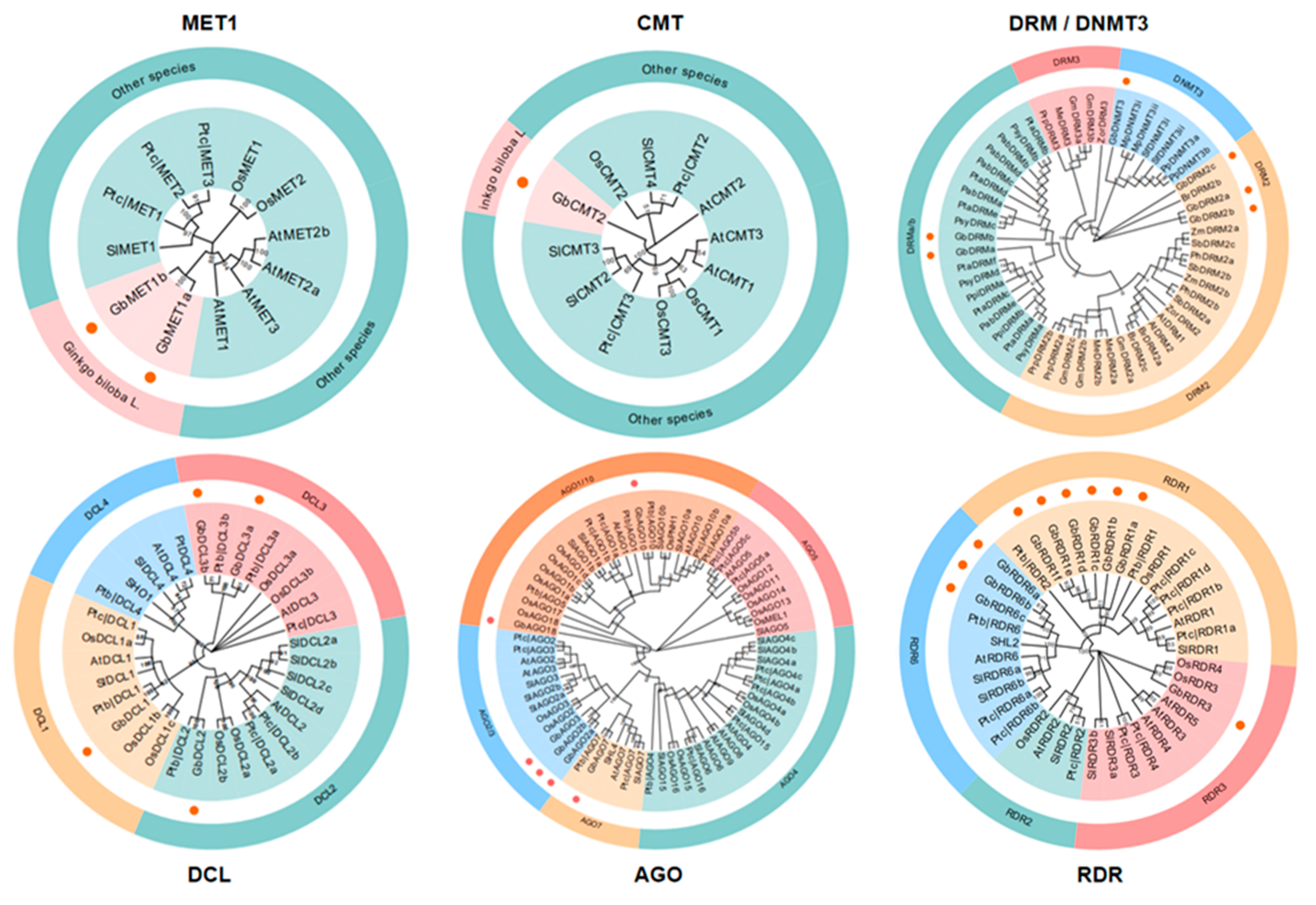 Forests 11 01076 g002 Forests 11 01076 g002