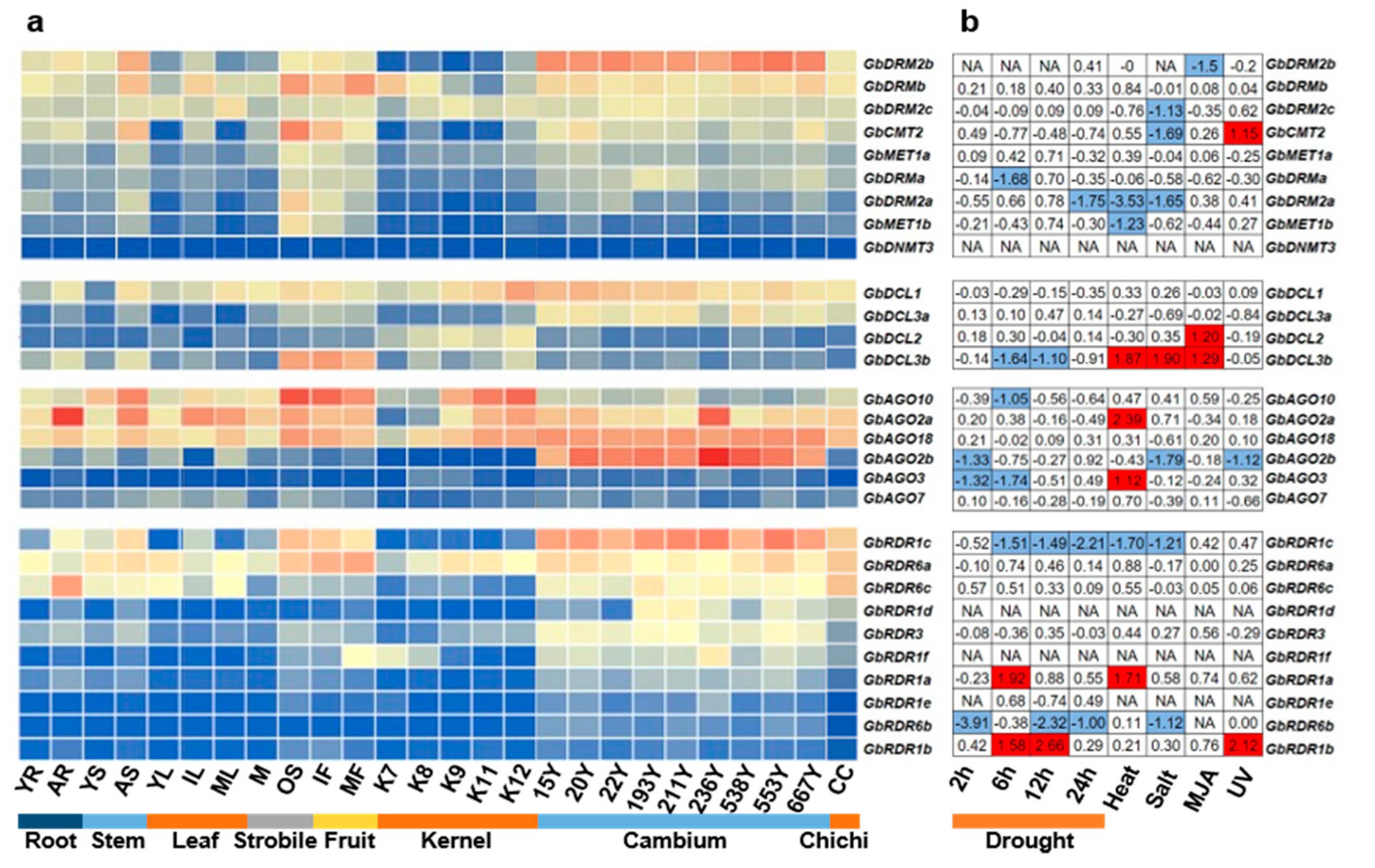 Forests 11 01076 g004 Forests 11 01076 g004