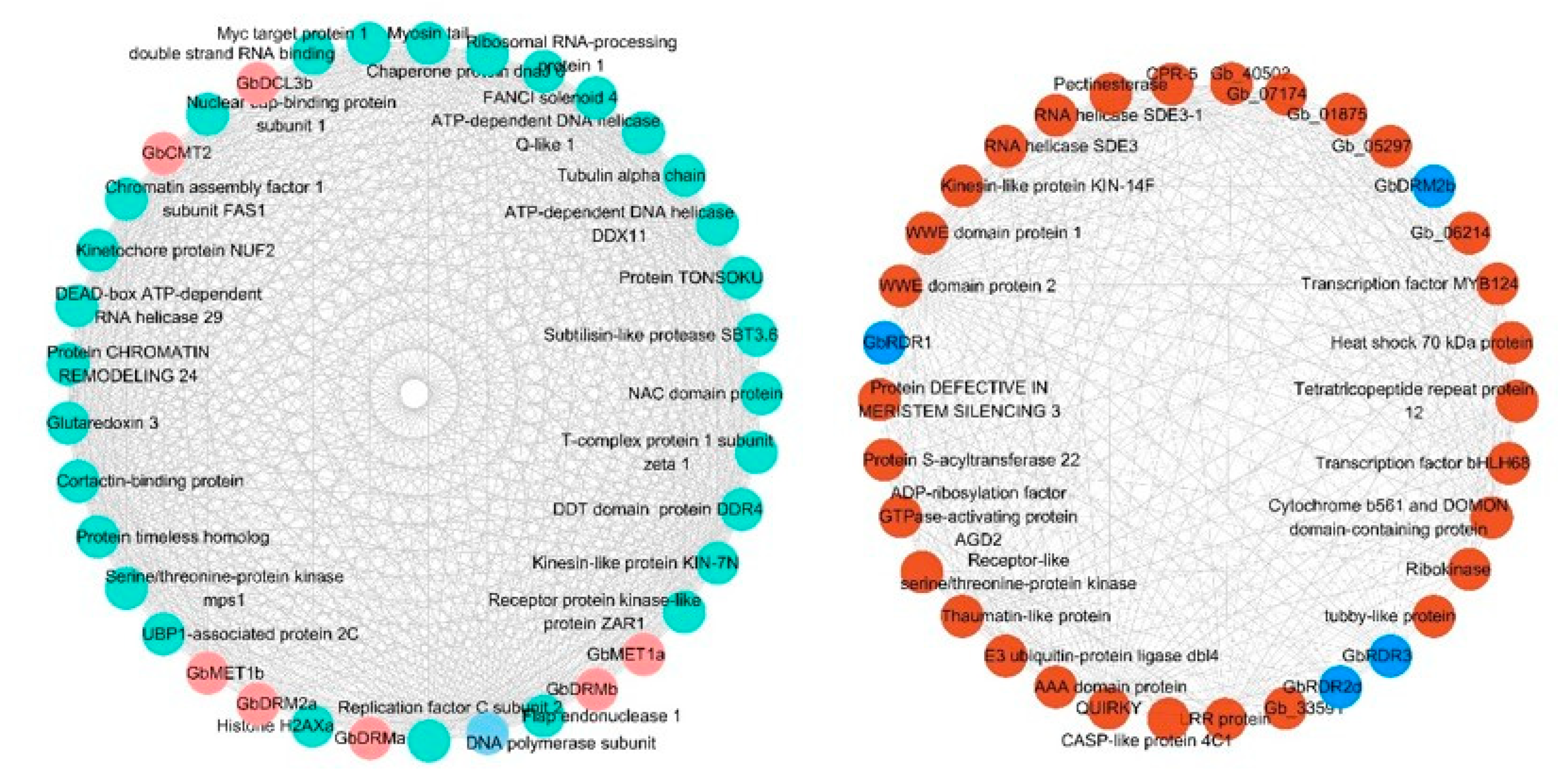 Forests 11 01076 g008 Forests 11 01076 g008