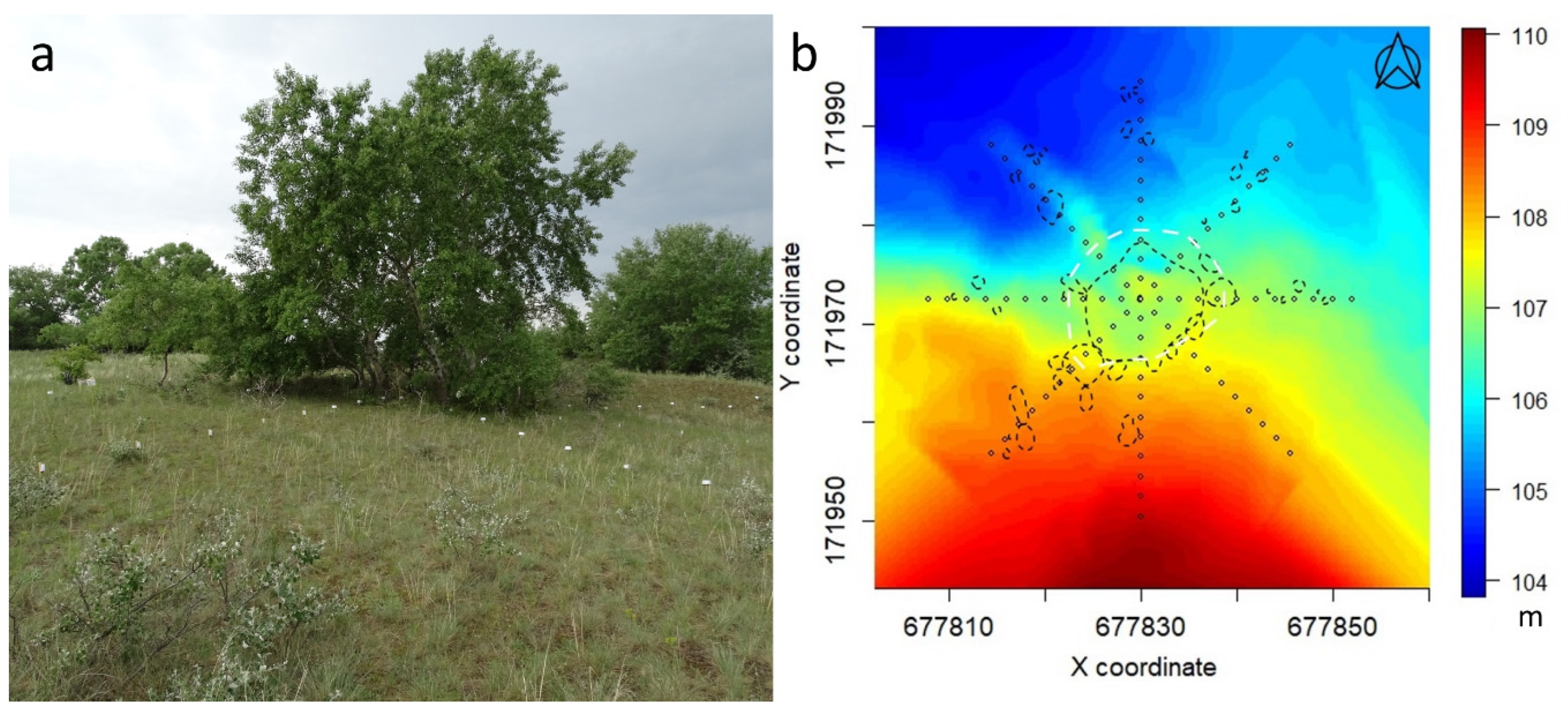 Forests 11 01078 g001