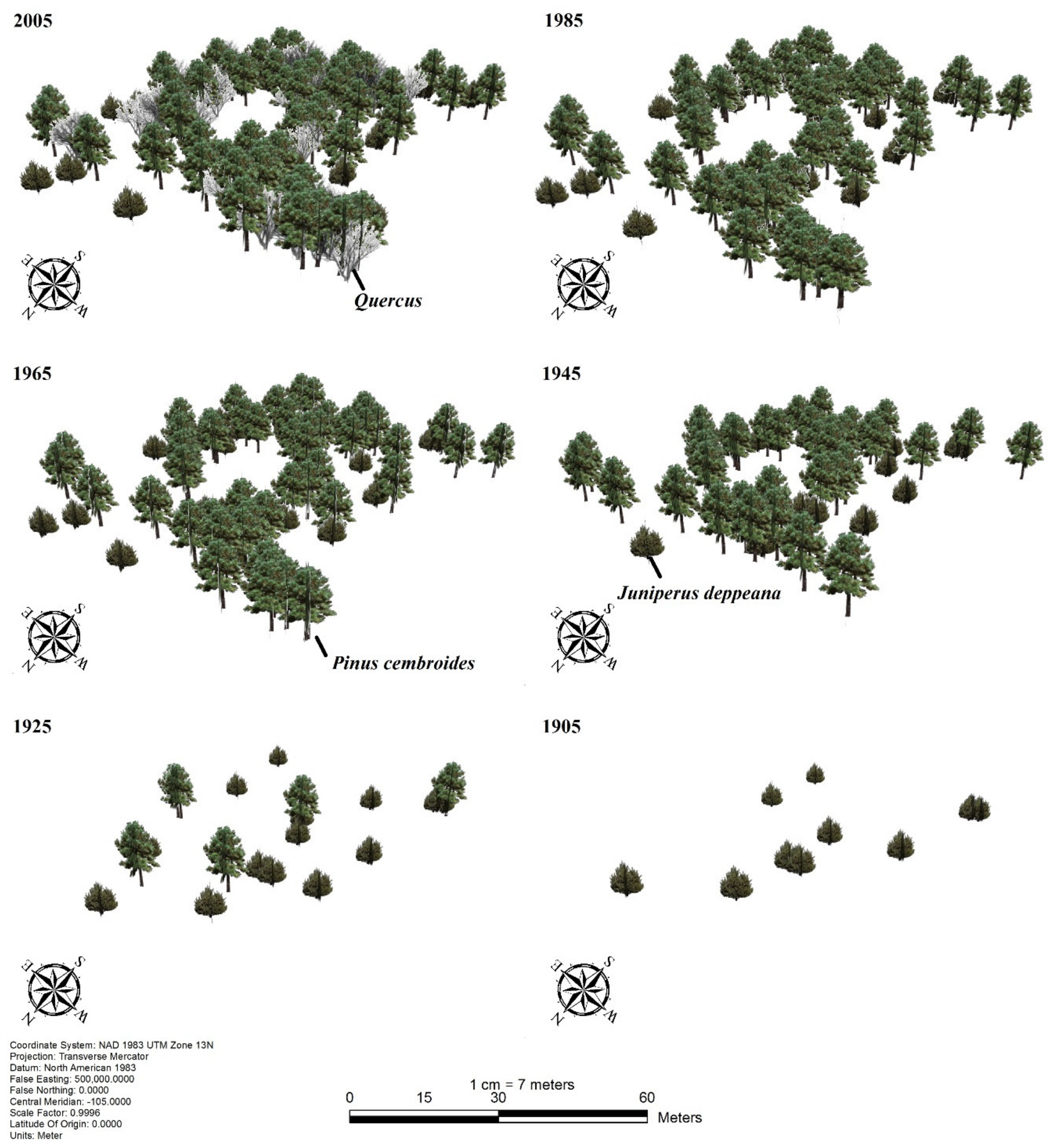 Forests 11 01079 g002 Forests 11 01079 g002
