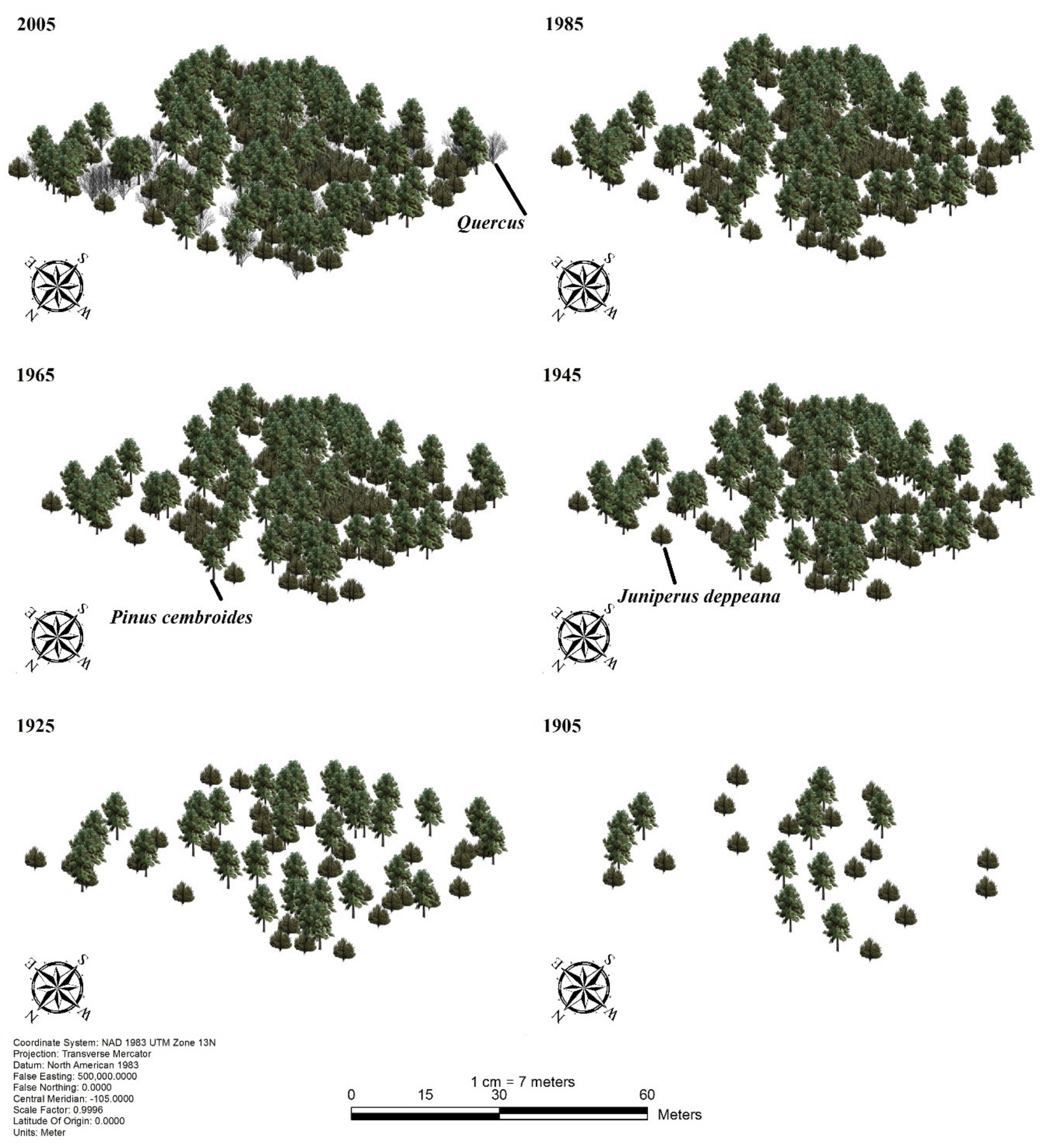 Forests 11 01079 g003 Forests 11 01079 g003