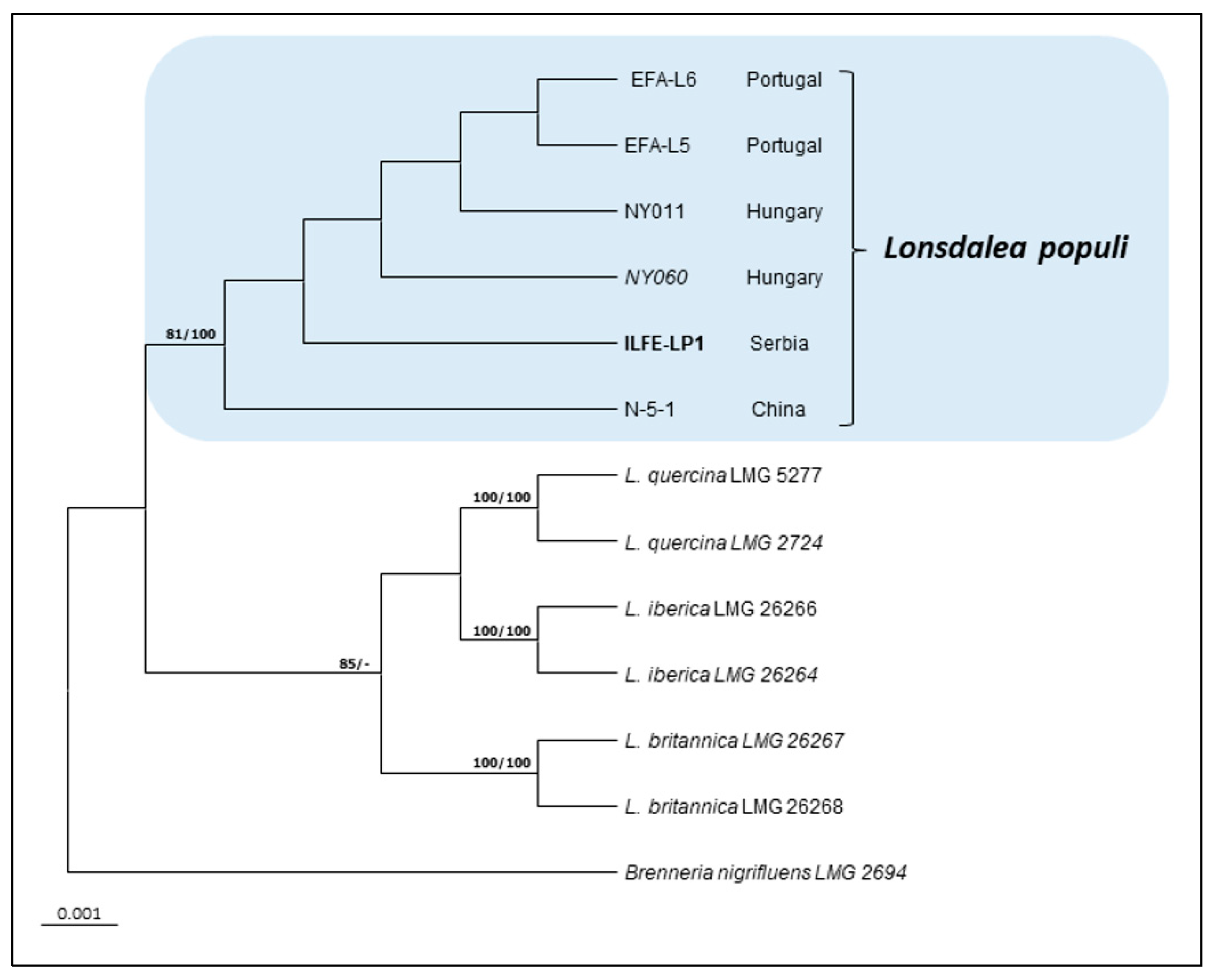 Forests 11 01080 g002