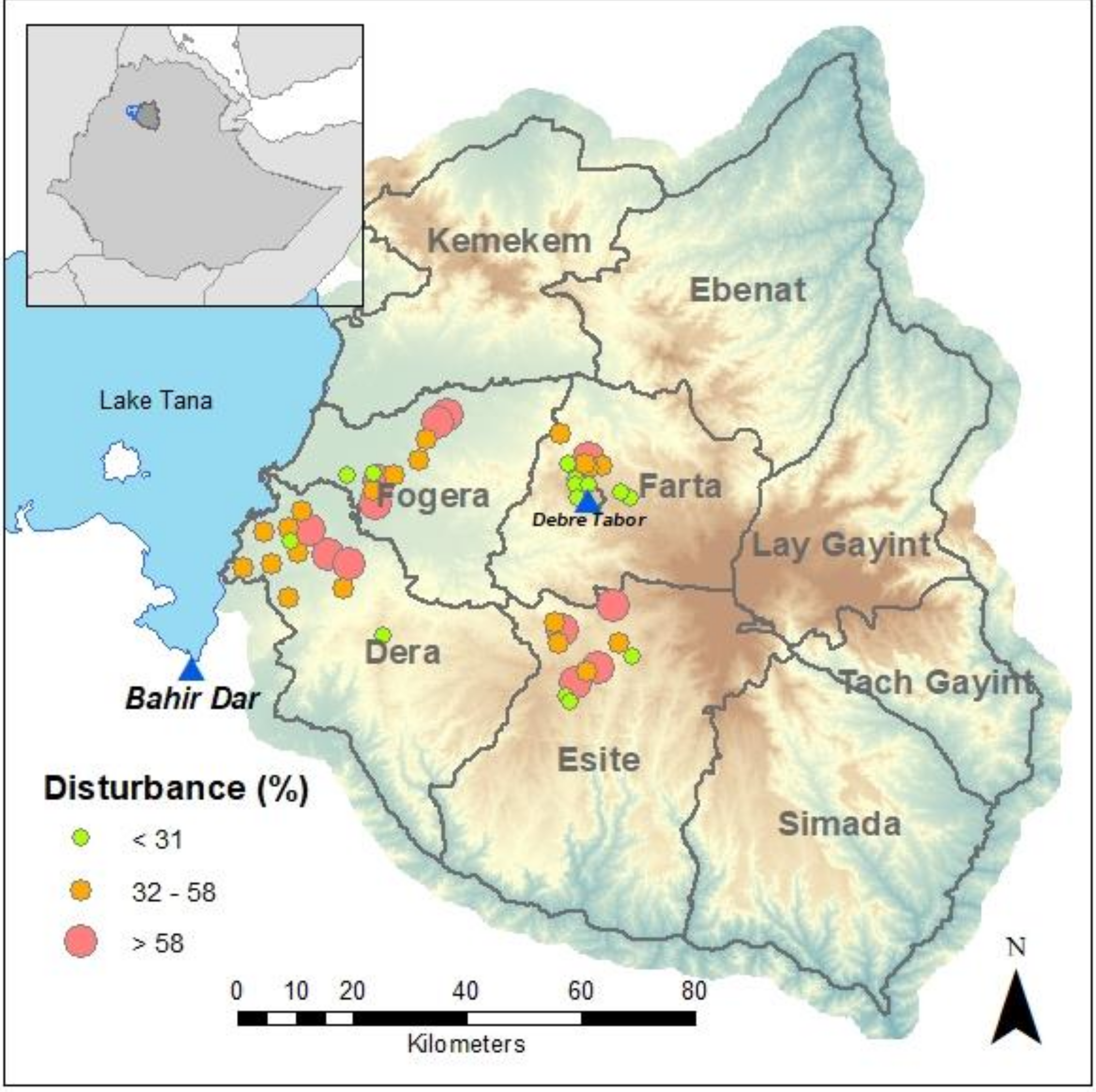 Forests 11 01082 g001