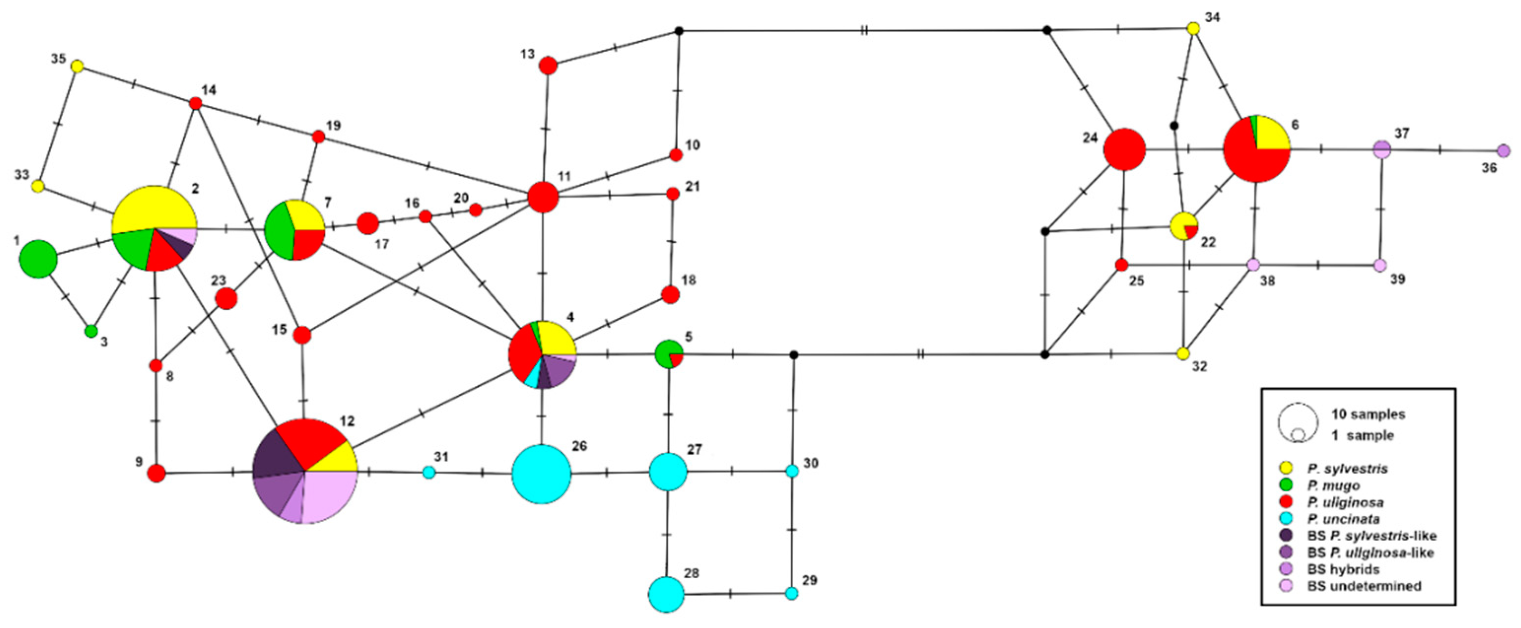 Forests 11 01086 g002 Forests 11 01086 g002