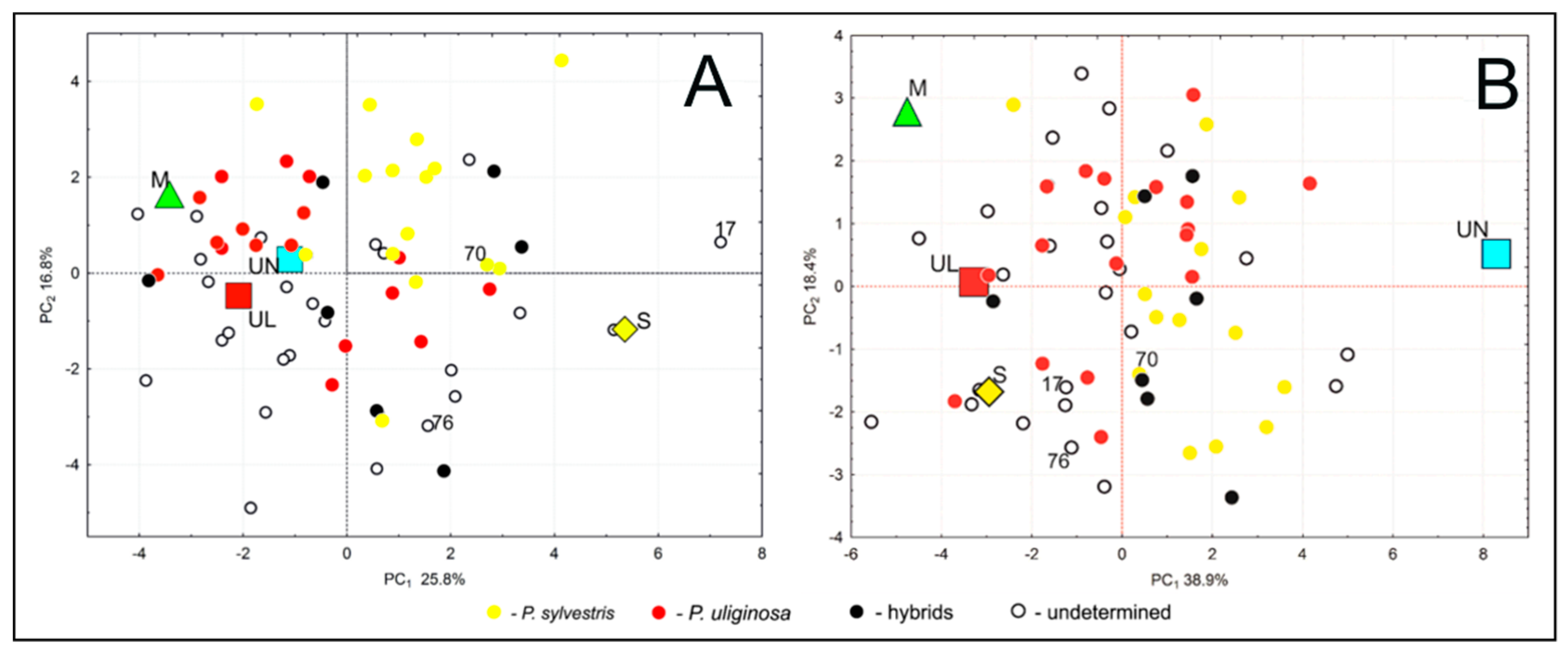 Forests 11 01086 g006 Forests 11 01086 g006