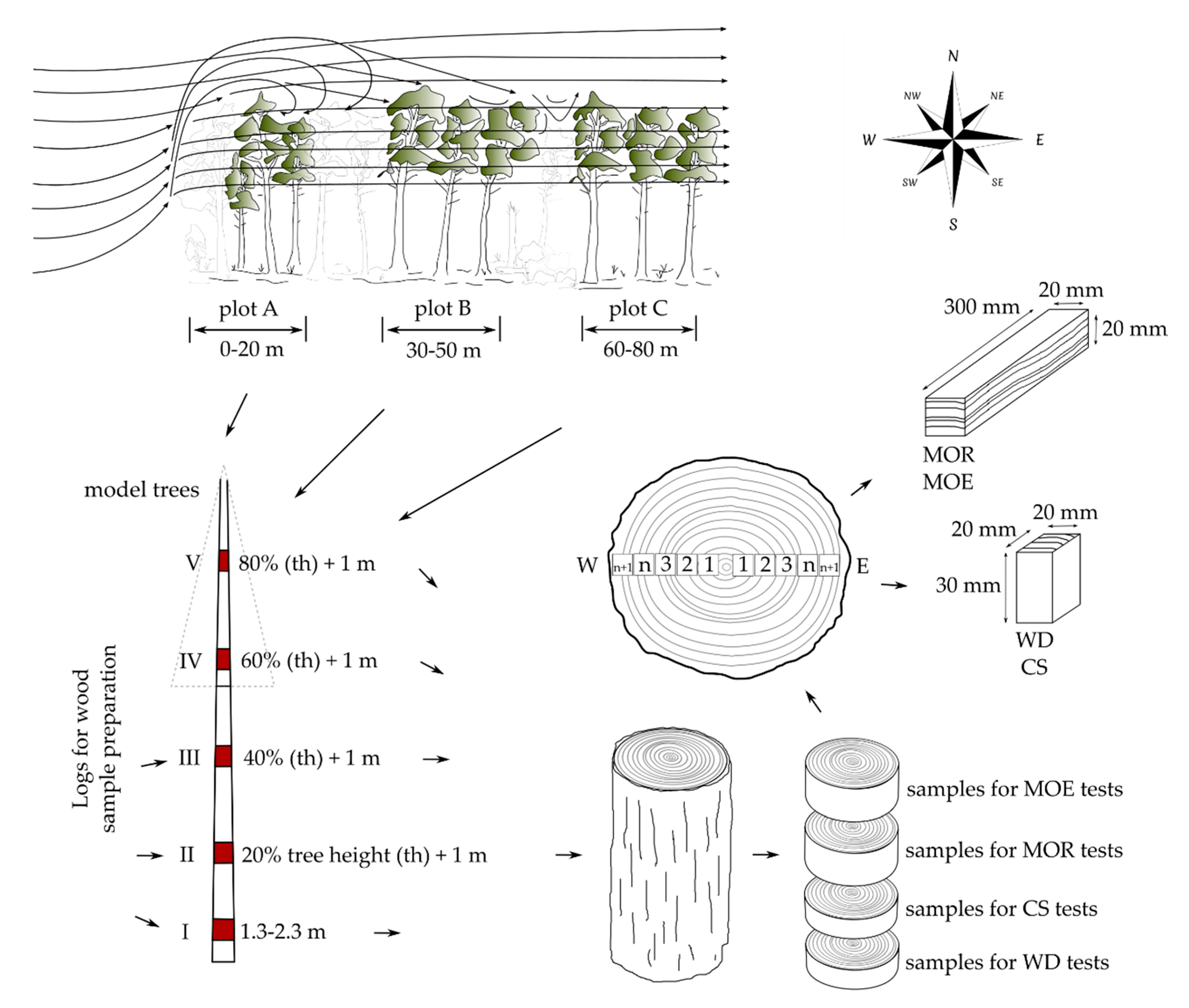 Forests 11 01095 g002 Forests 11 01095 g002