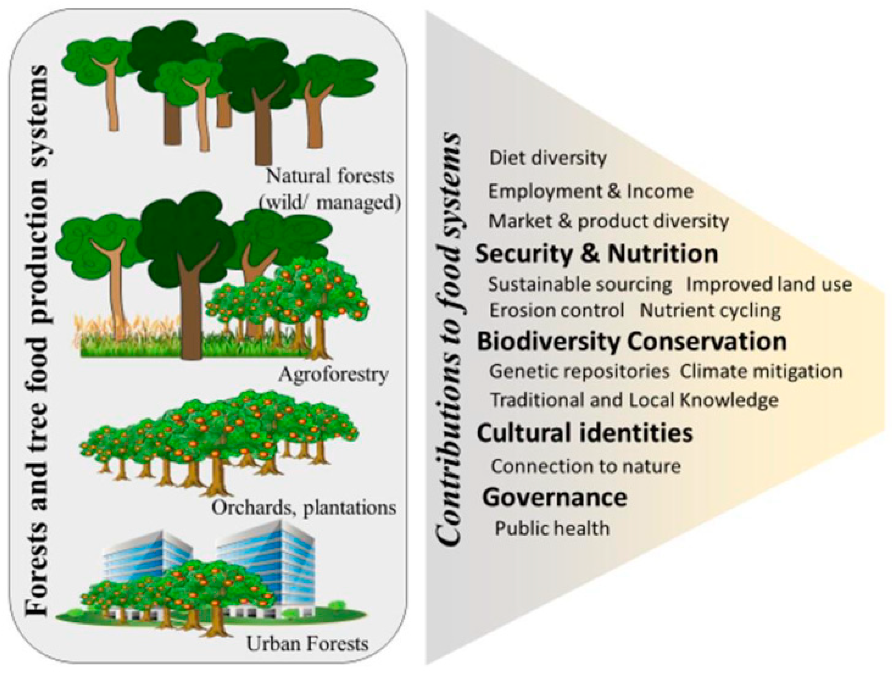 Forests Free Full Text Rediscovering The Contributions Of Forests