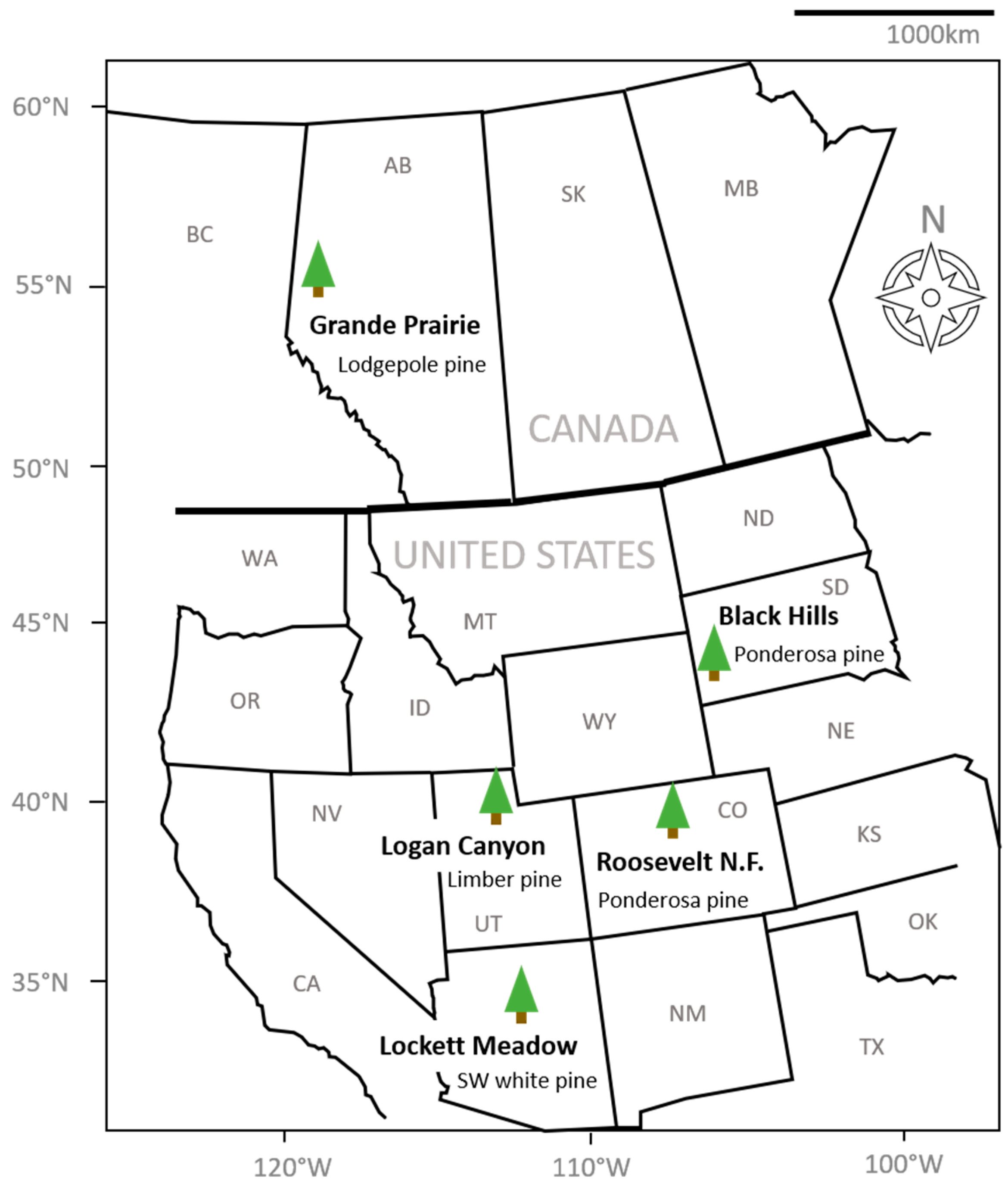 Forests 11 01102 g001