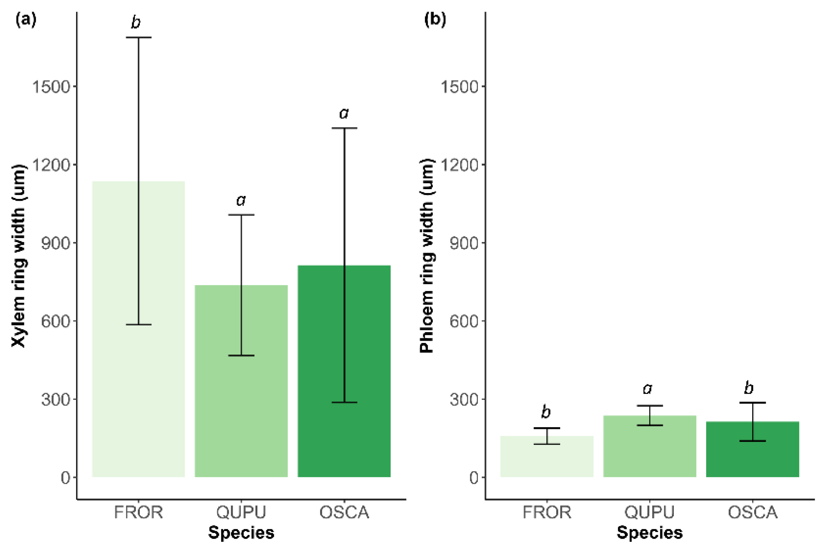 Forests 11 01104 g003 Forests 11 01104 g003