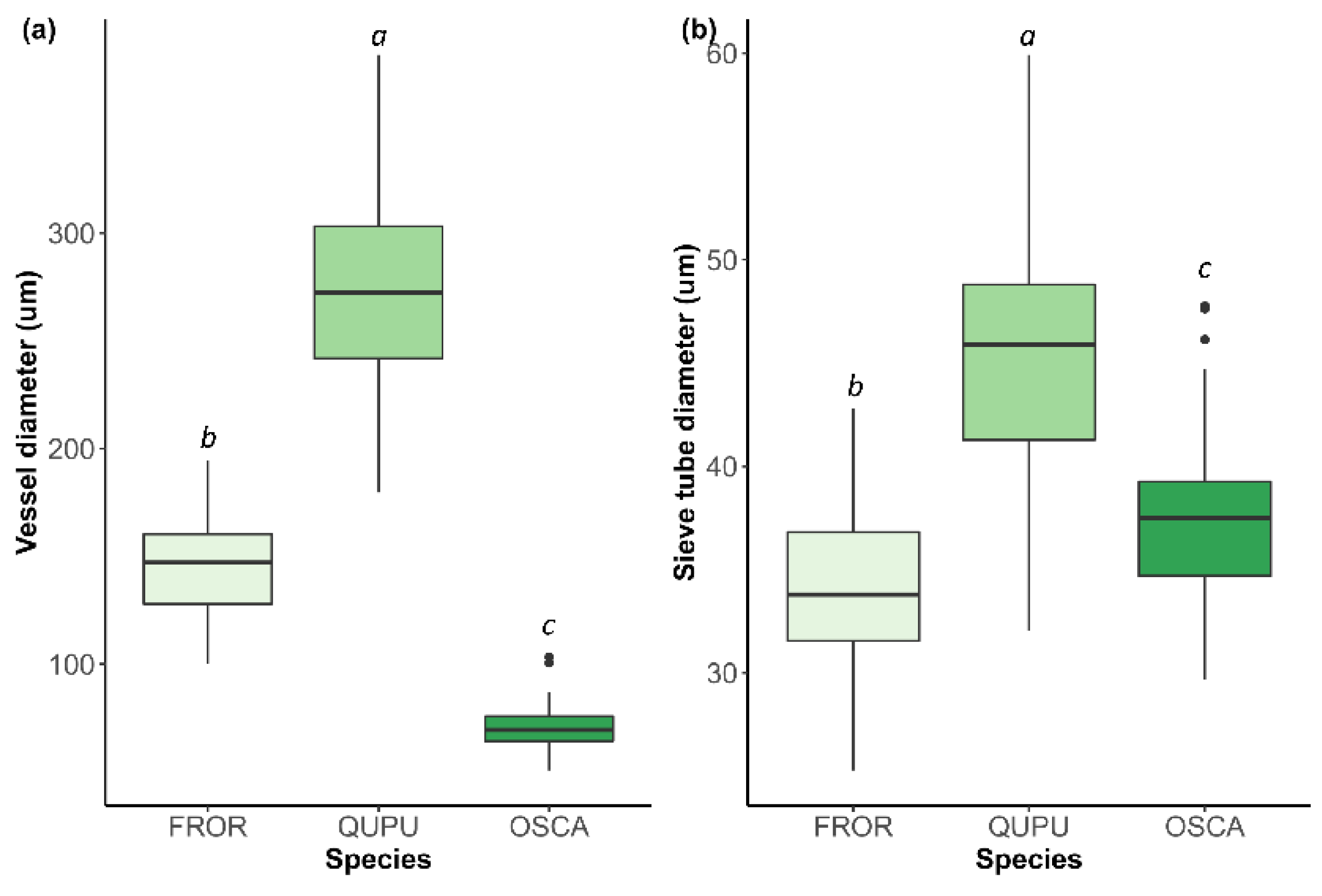 Forests 11 01104 g004 Forests 11 01104 g004