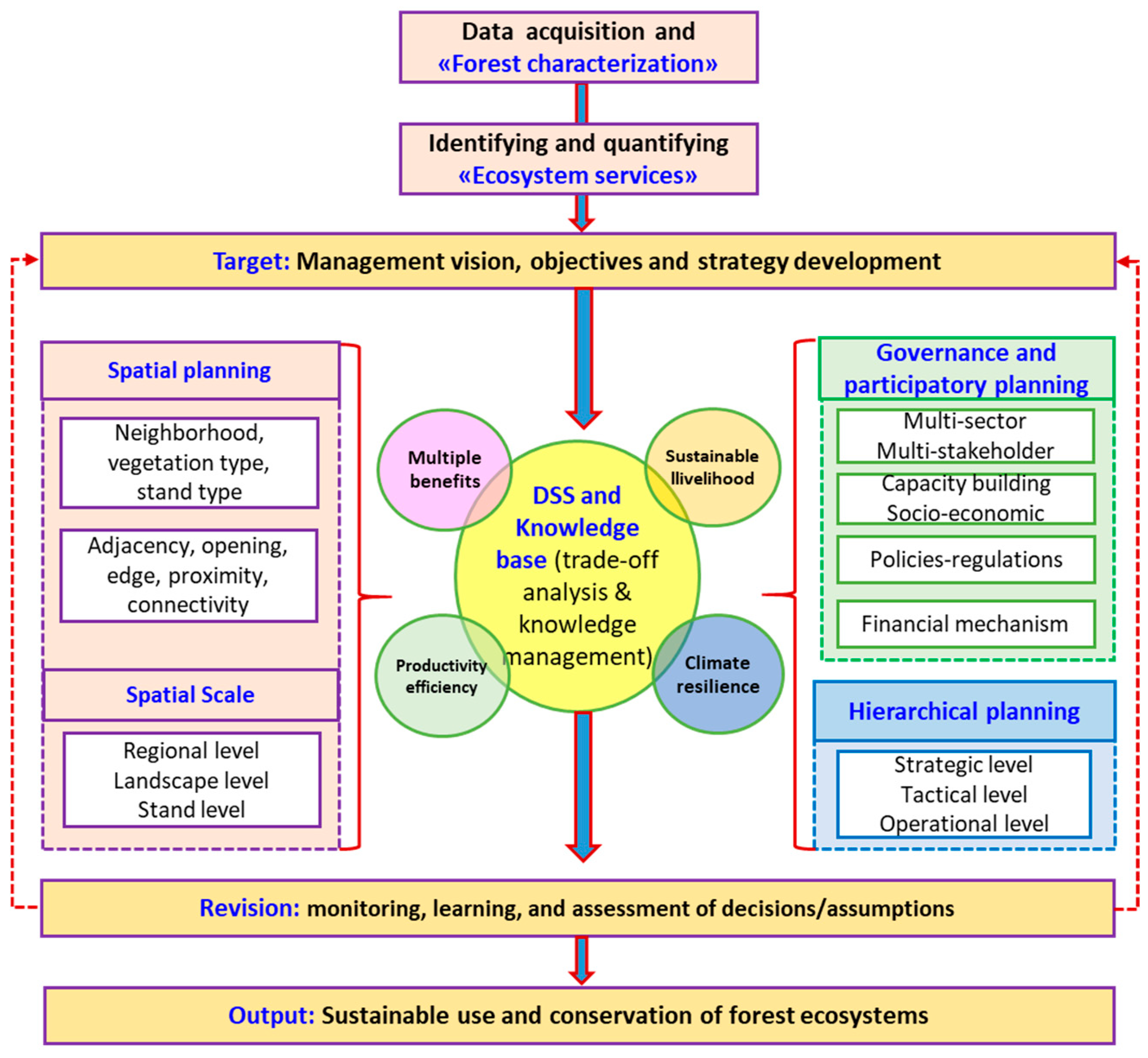 Forests 11 01108 g002