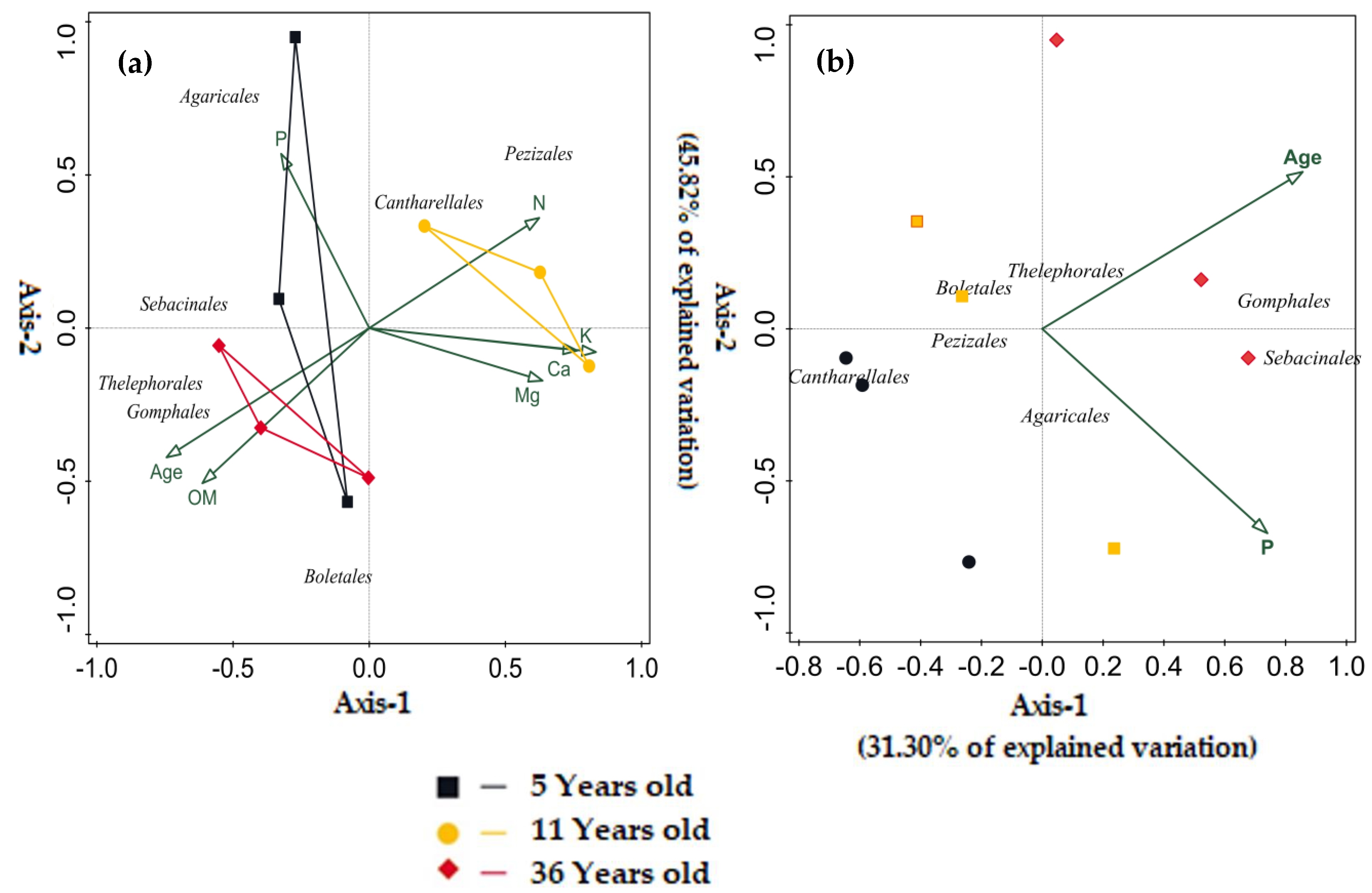 Forests 11 01109 g003 Forests 11 01109 g003