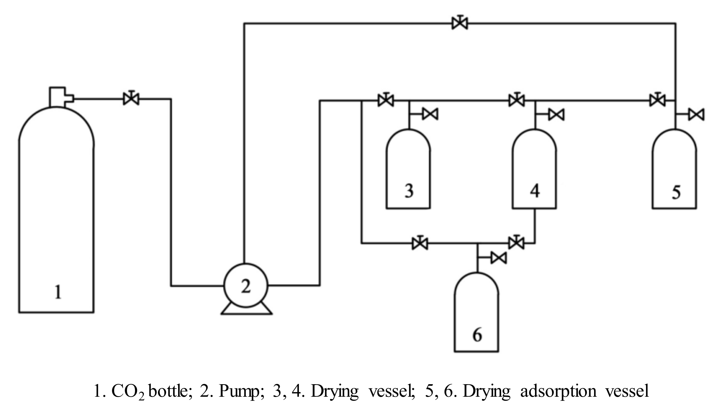 Forests 11 01115 g002 Forests 11 01115 g002