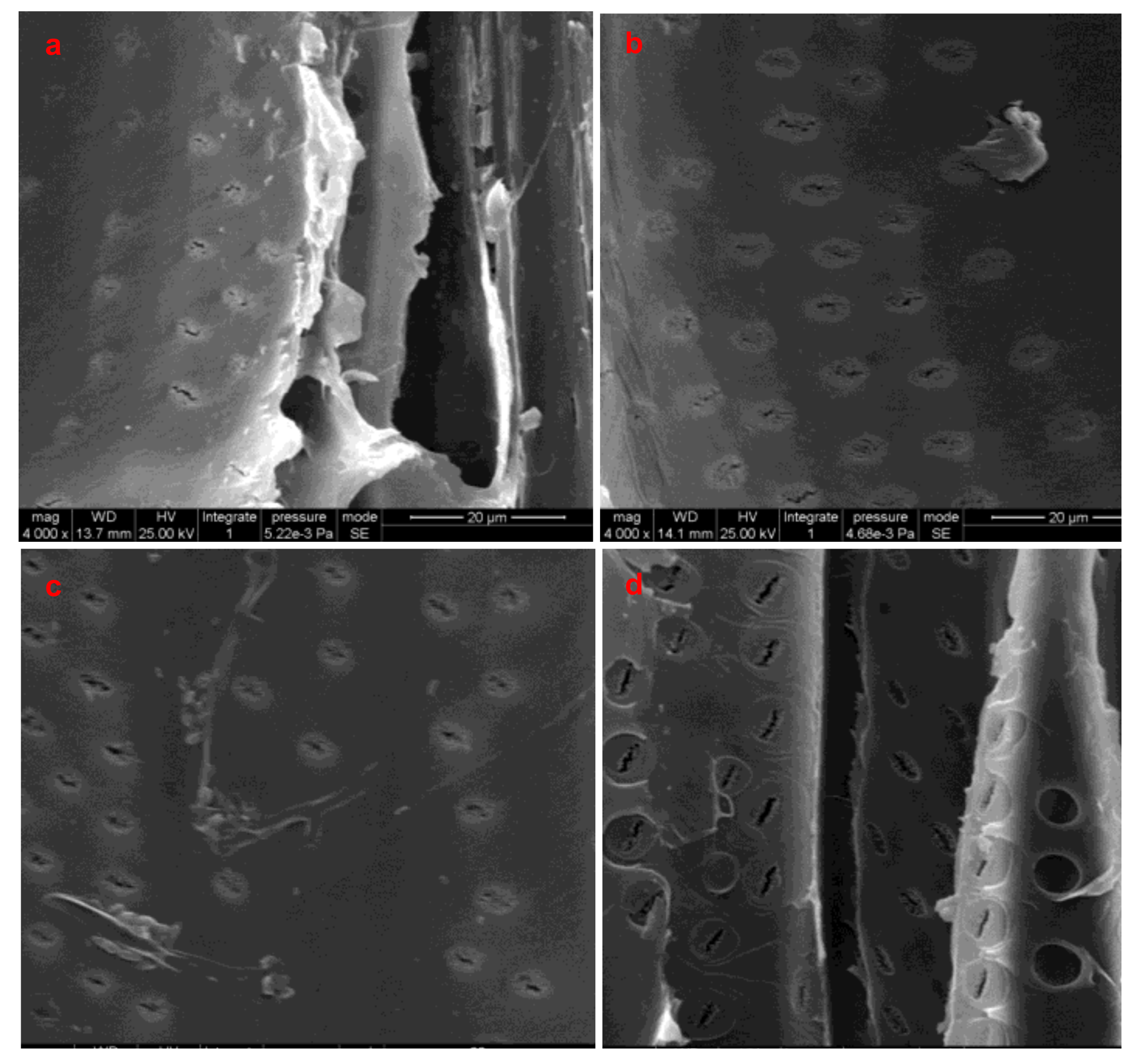 Forests 11 01115 g008 Forests 11 01115 g008