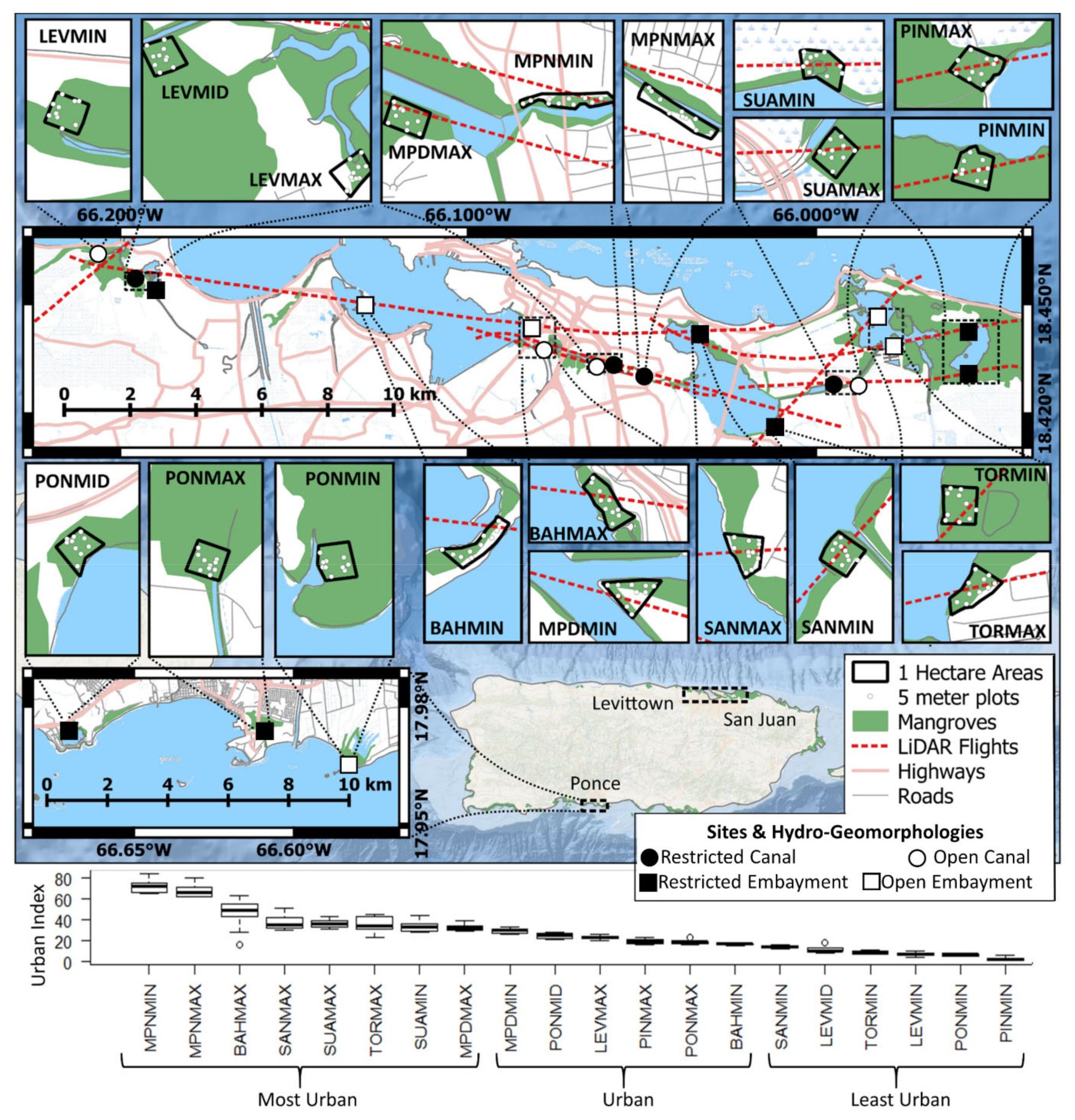 Forests 11 01119 g001