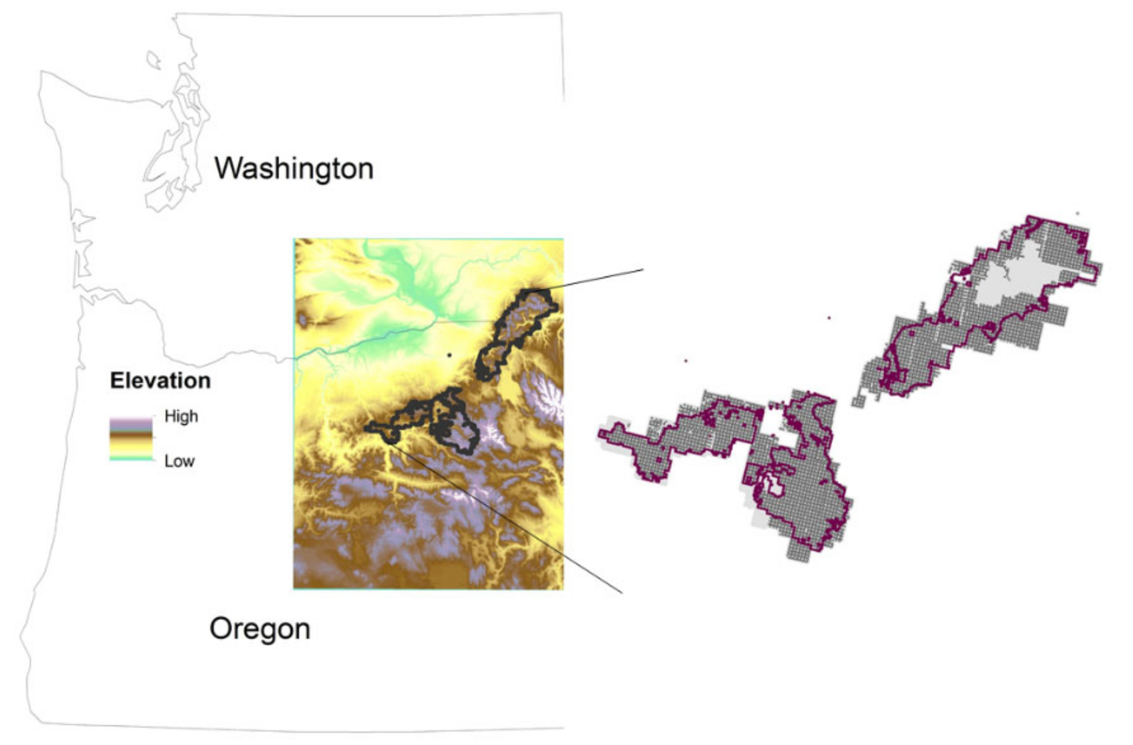 Forests 11 01122 g001