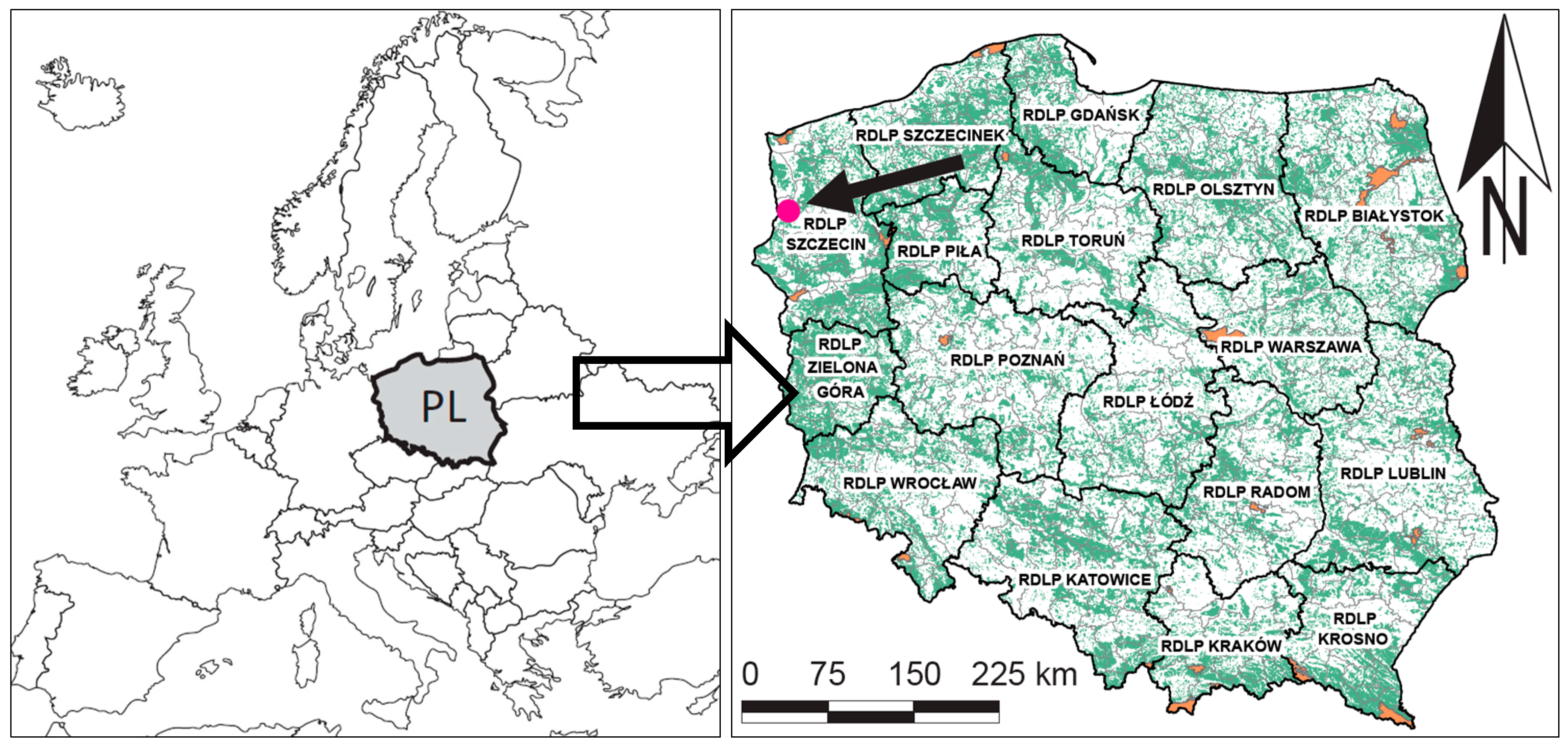 Forests 11 01137 g001