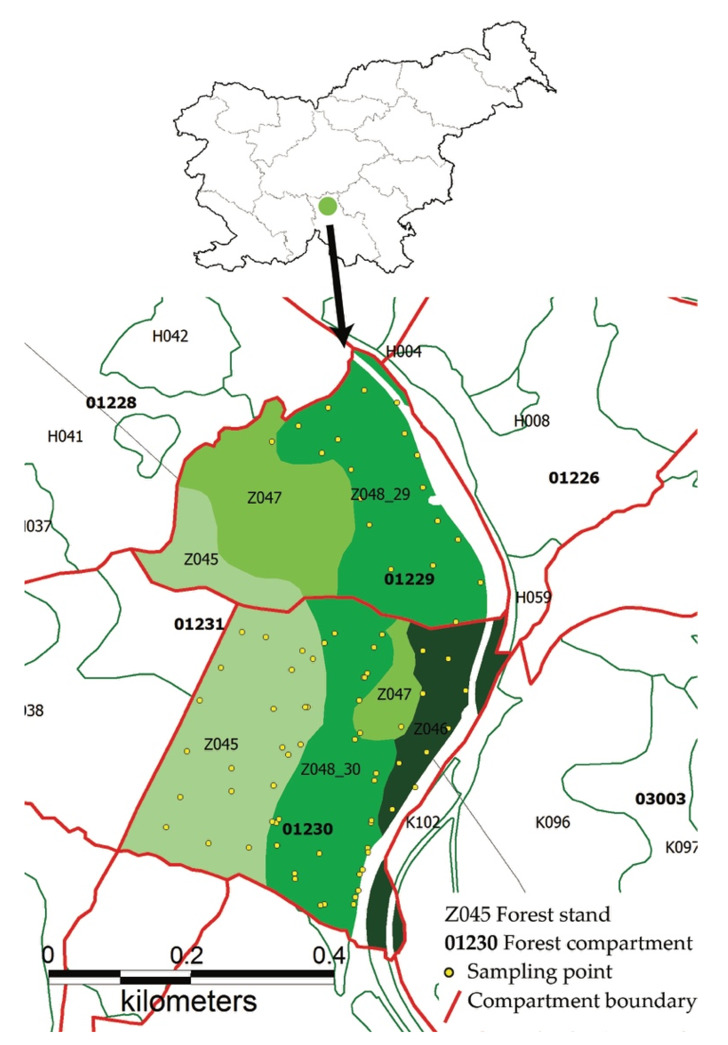 Forests 11 01148 g001 Forests 11 01148 g001