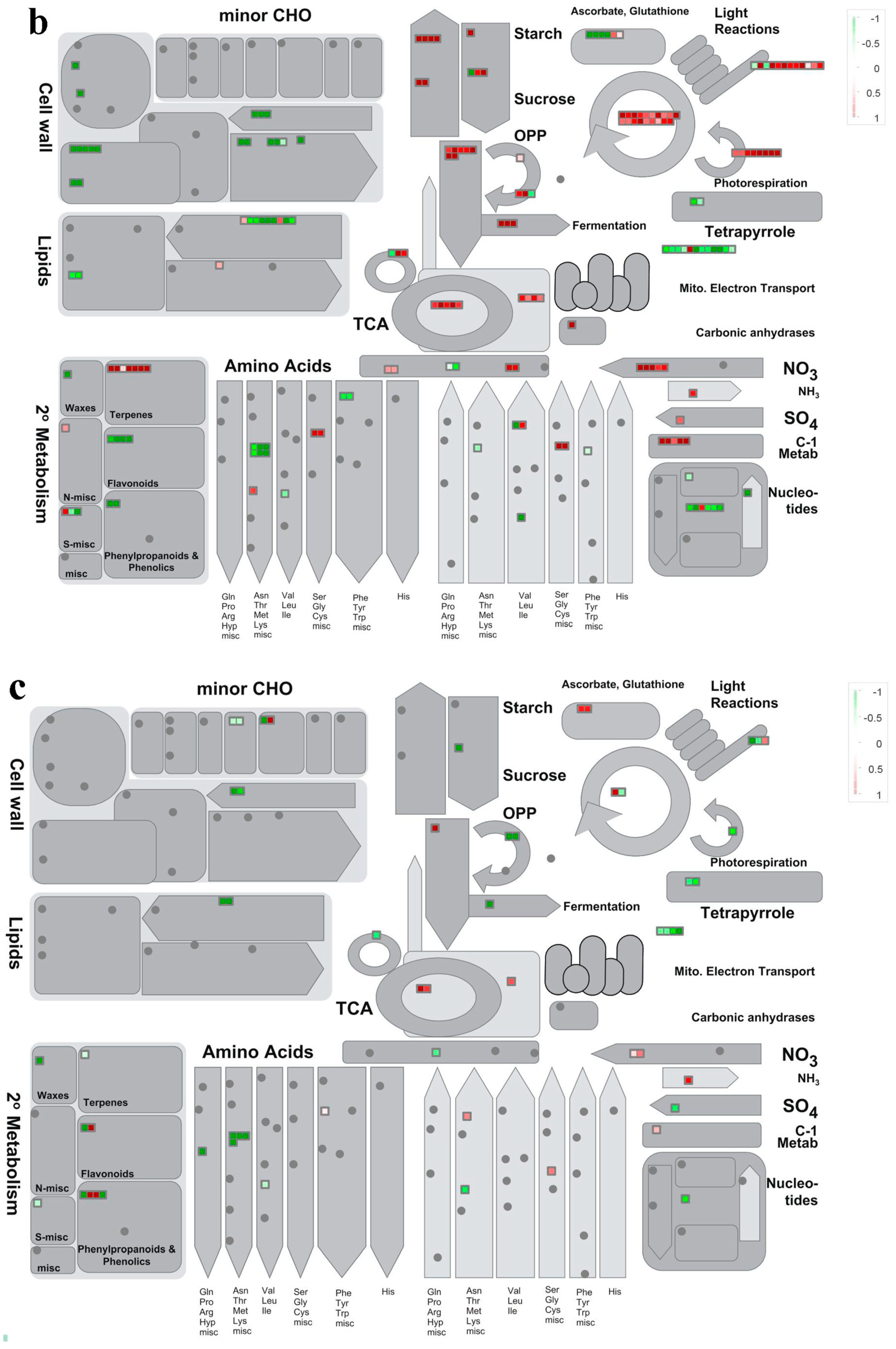 Forests 11 01154 g003b
