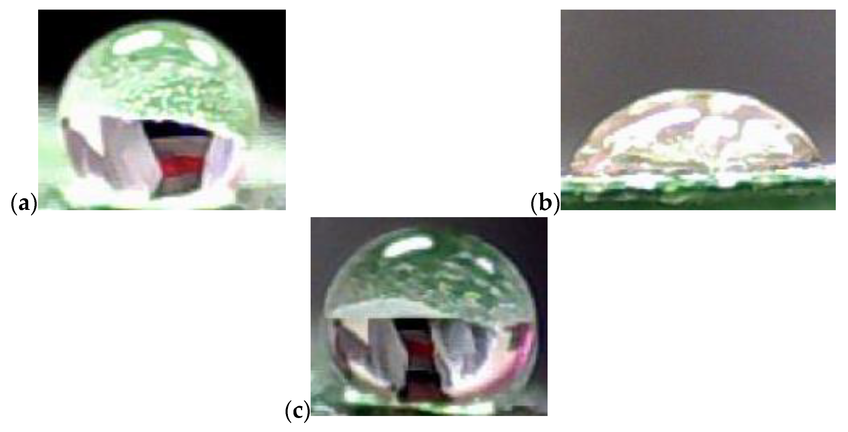 Forests 11 01158 g001