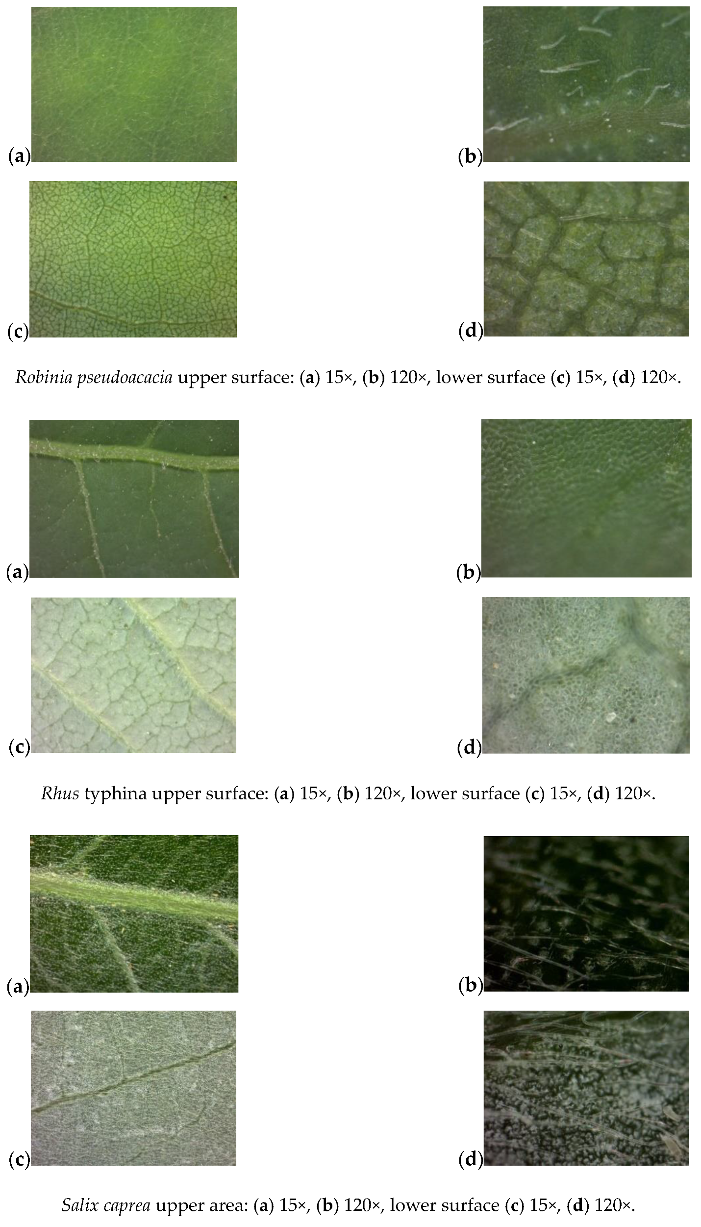 Forests 11 01158 g0a1d