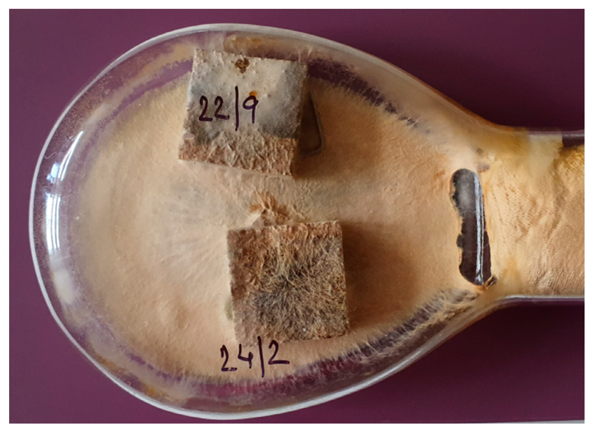 Forests 11 01166 g008