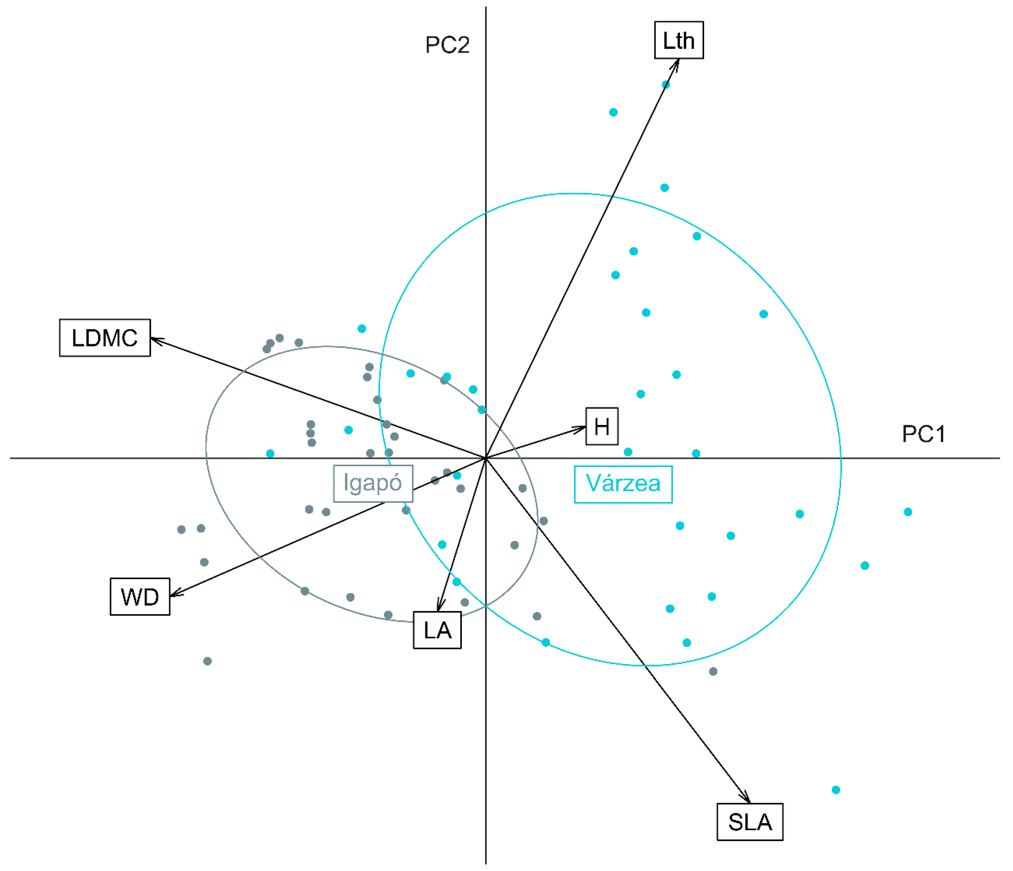 Forests 11 01172 g002