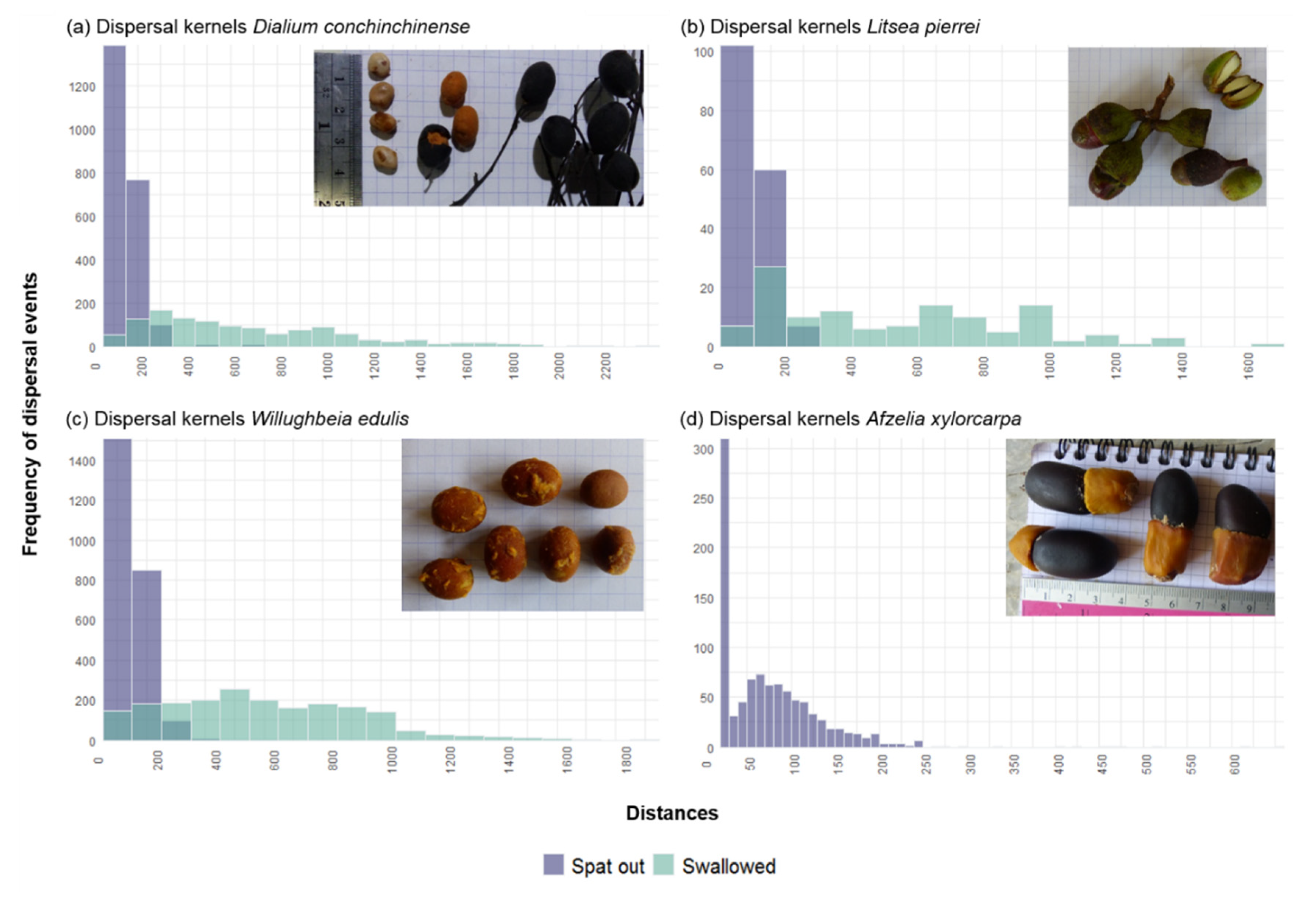 Forests 11 01184 g004