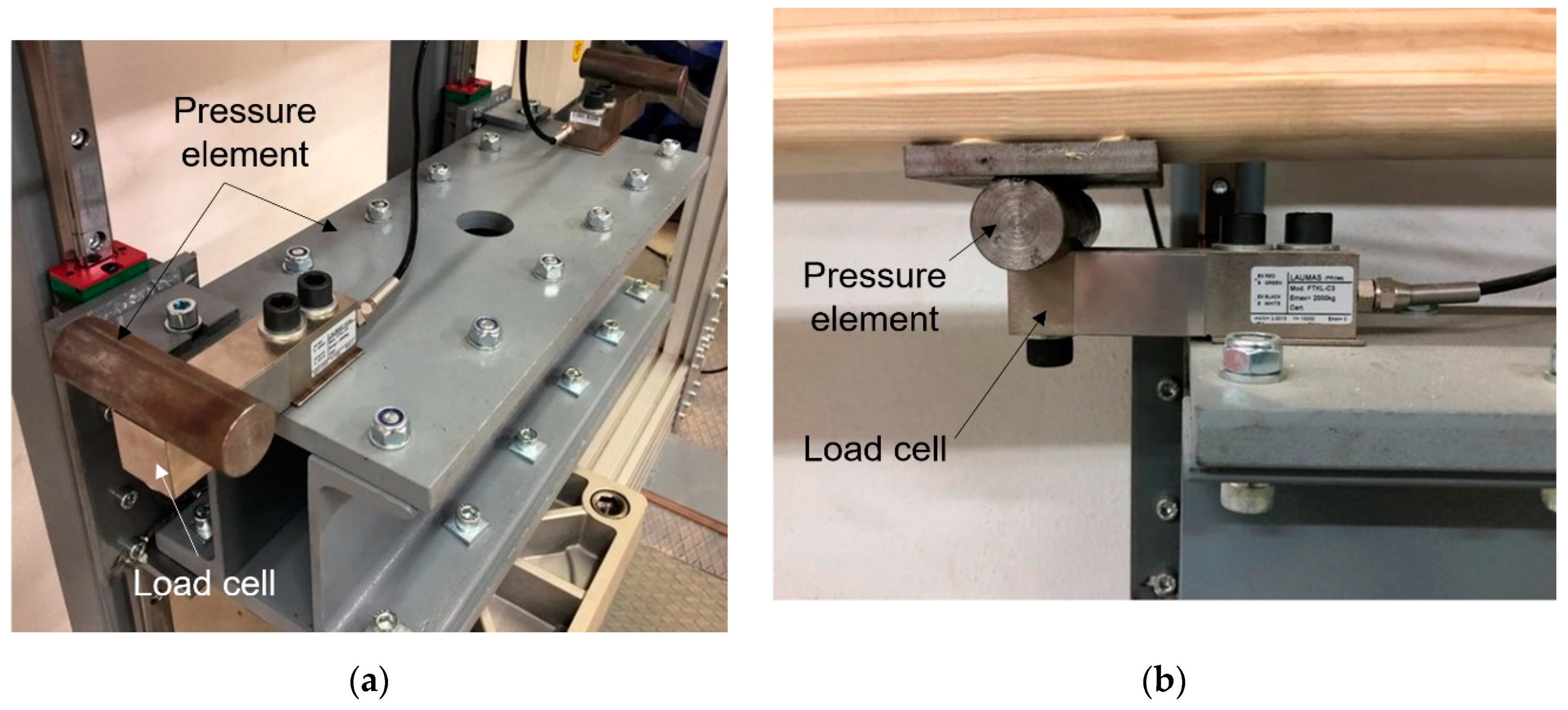 Forests 11 01187 g014