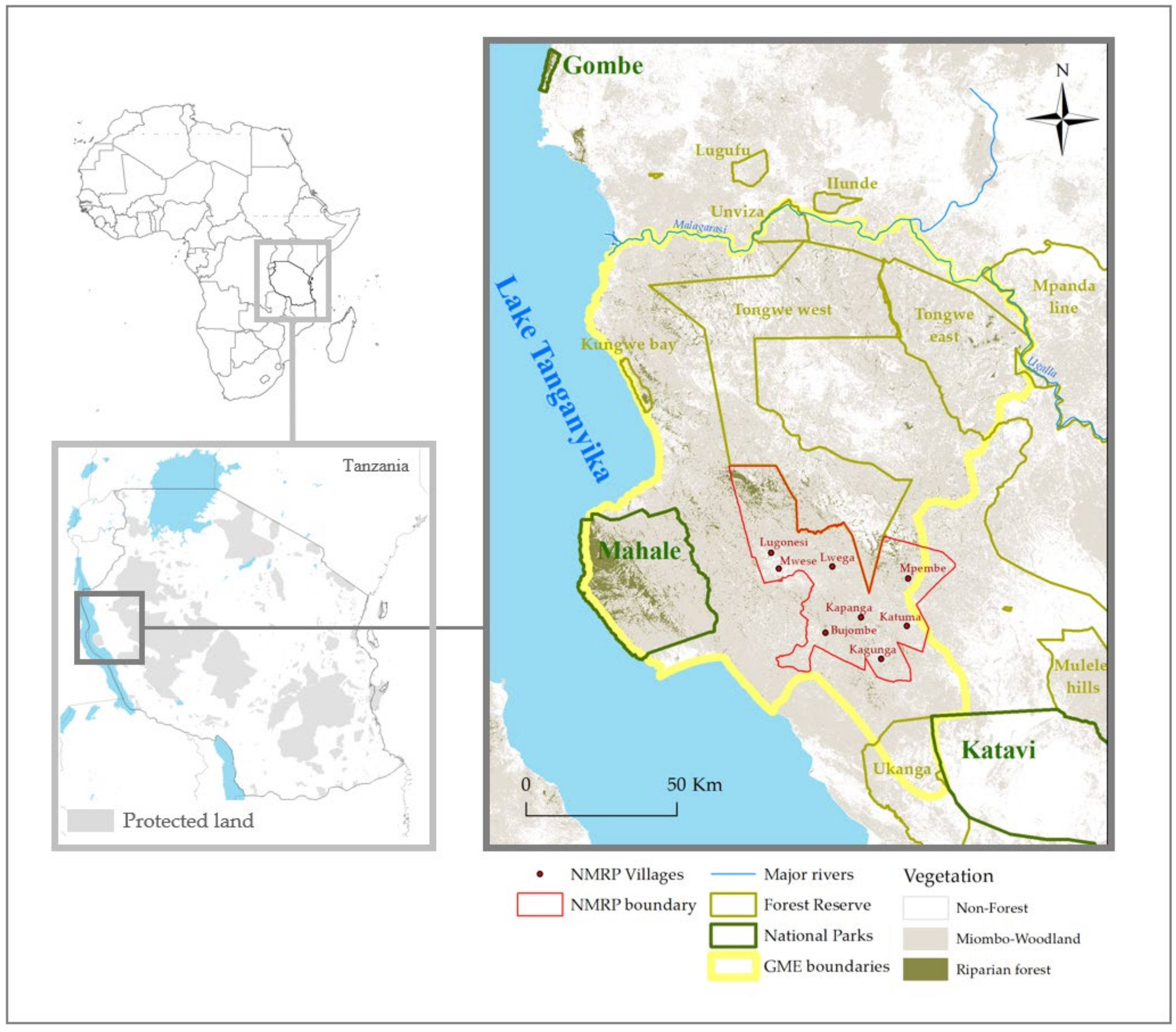 Forests 11 01195 g001