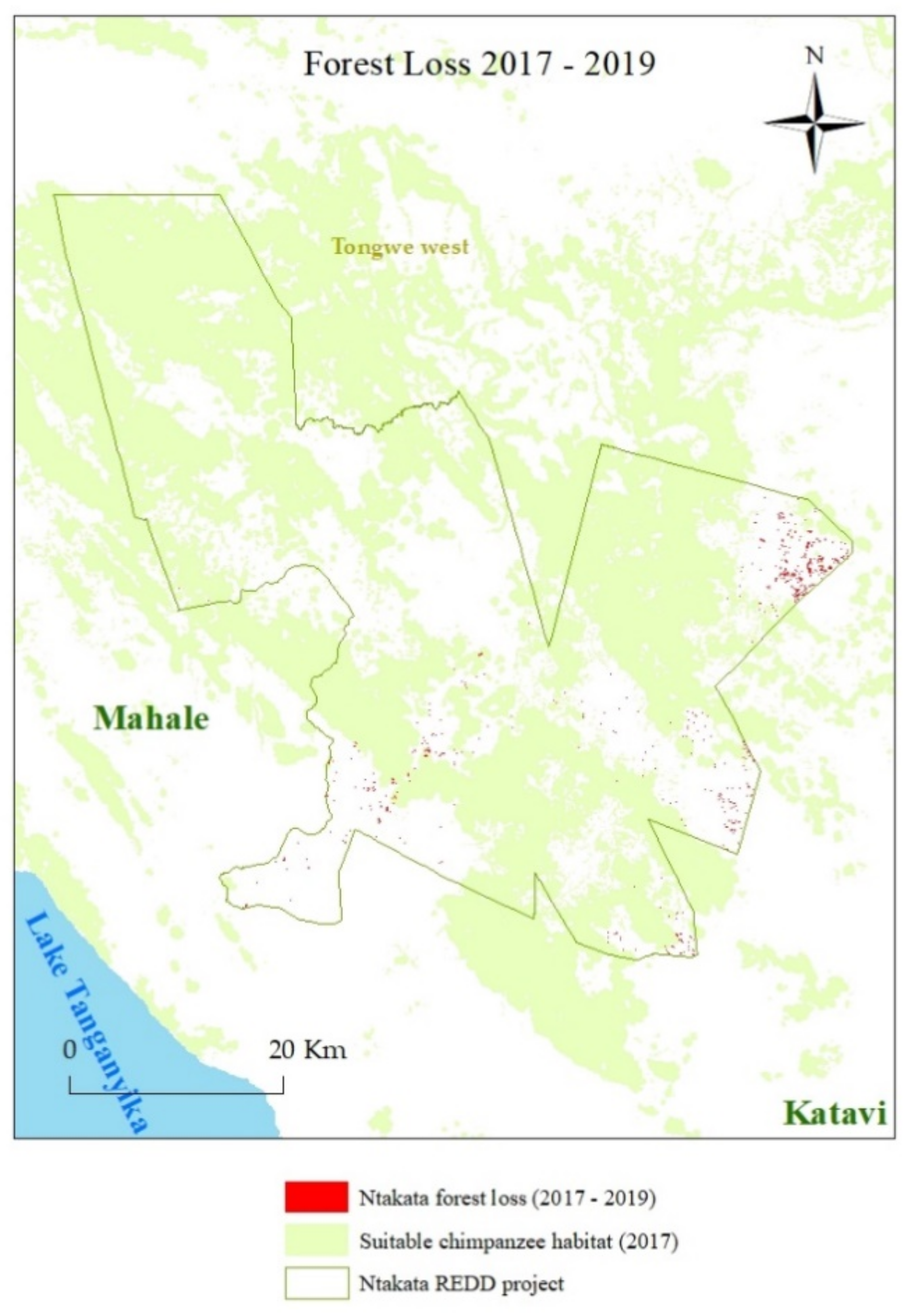 Forests 11 01195 g004