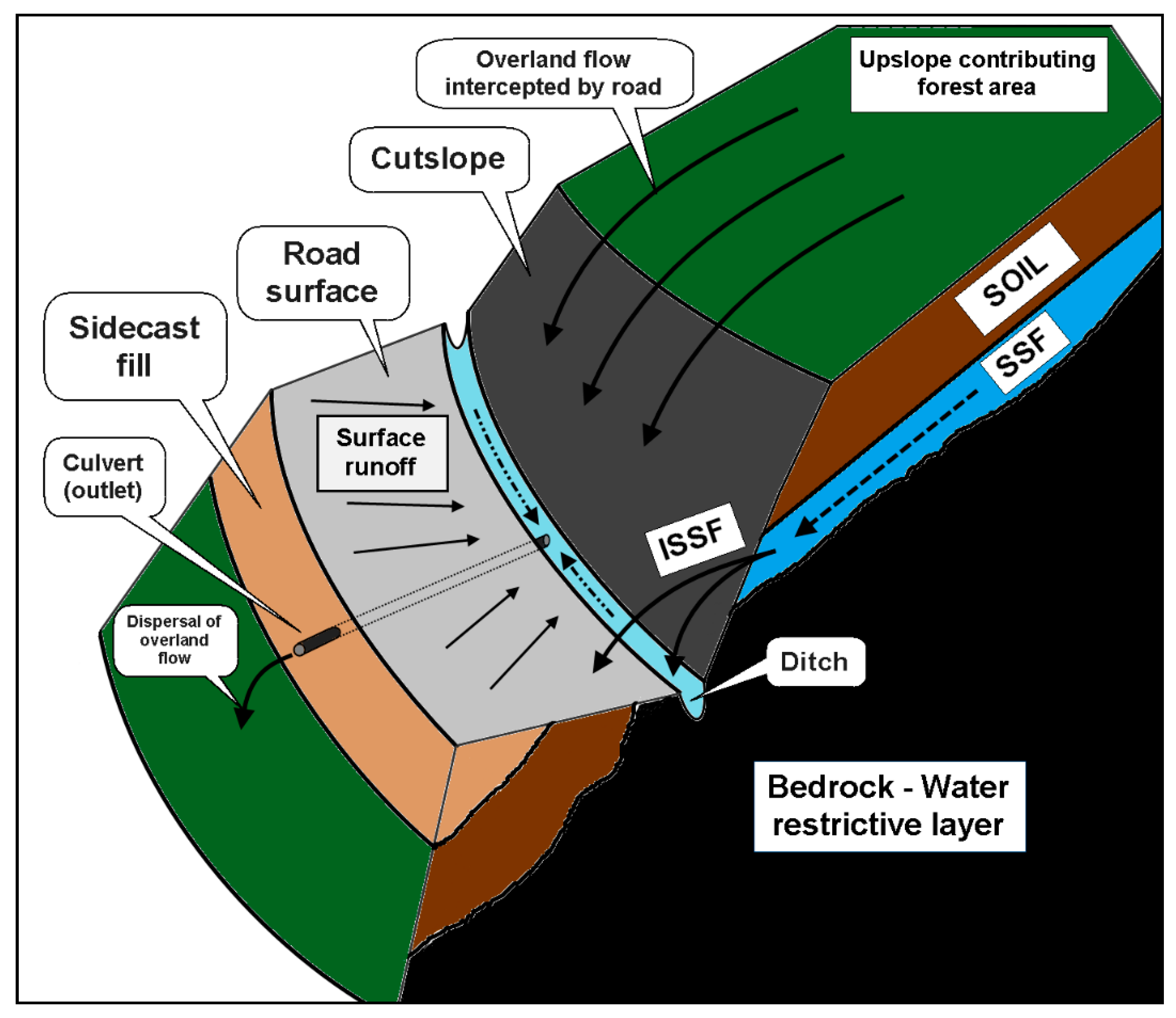Forests | Free Full-Text | Impact Of Forest Roads On Hydrological.