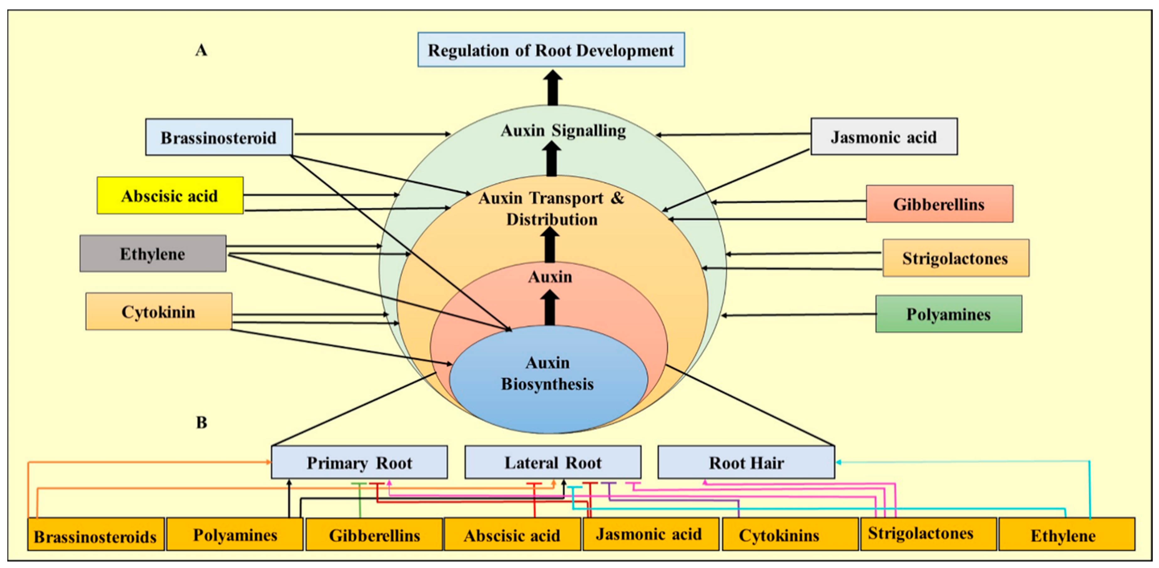 Forests 11 01211 g003