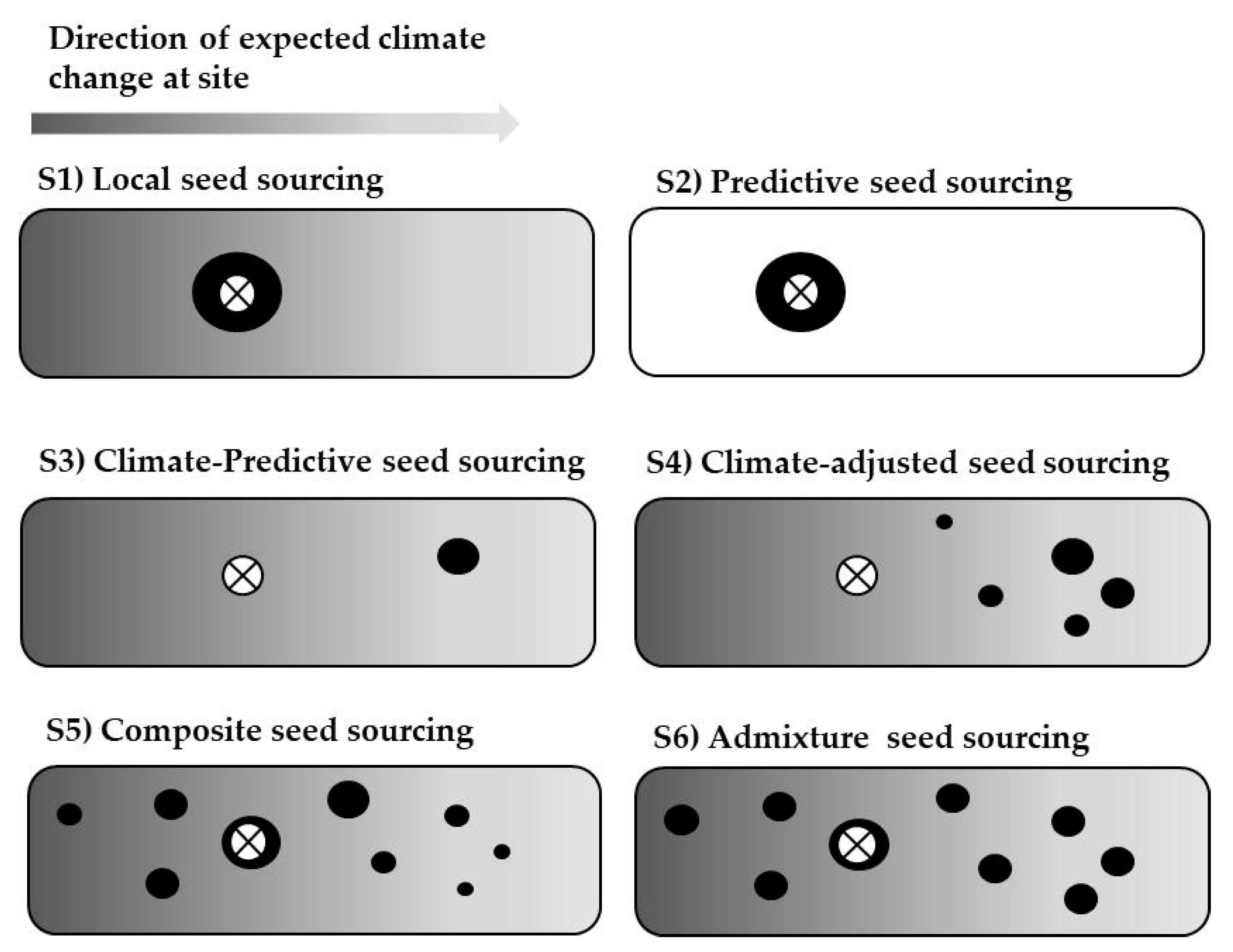 Forests 11 01222 g002