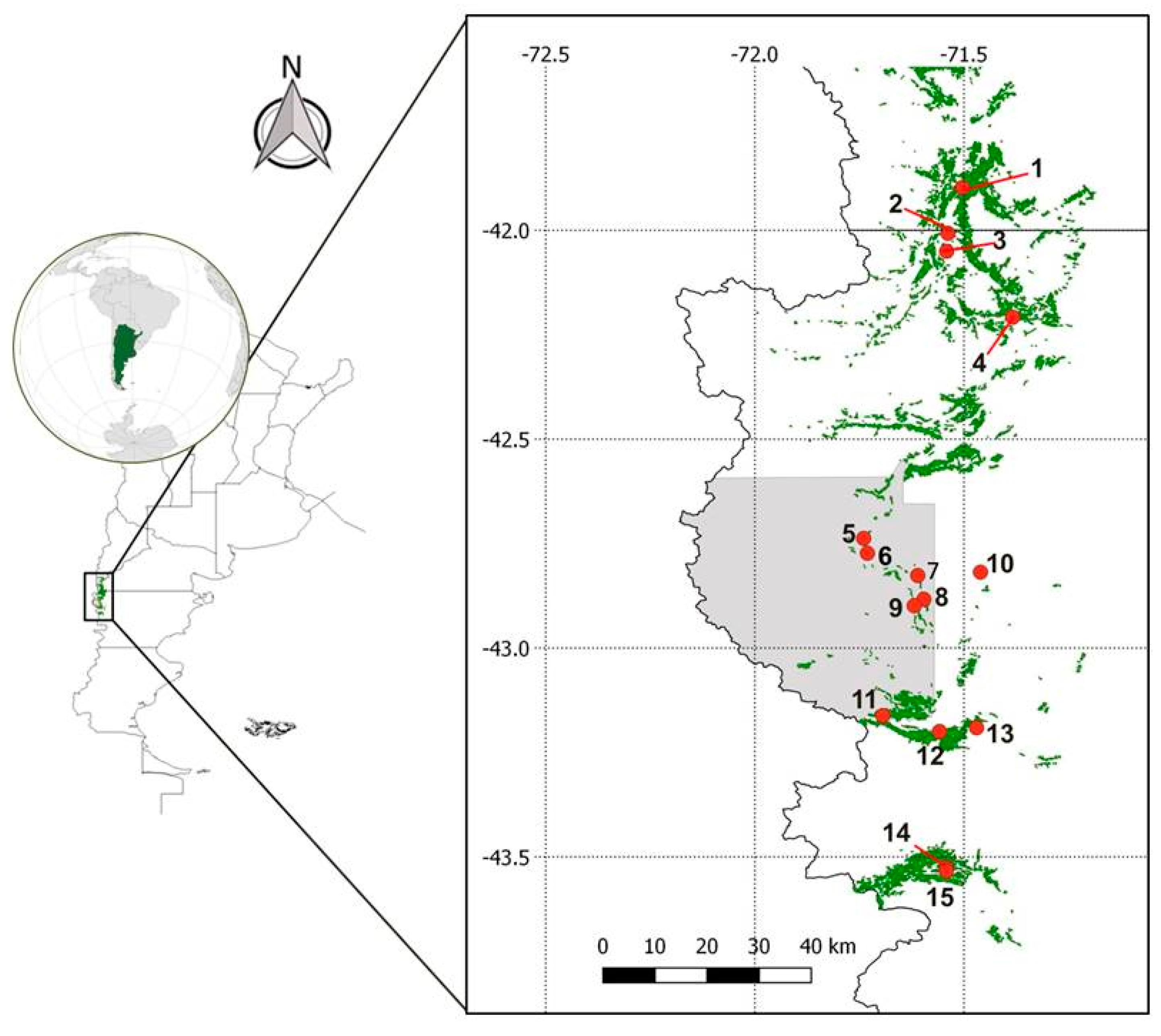 Forests 11 01223 g001