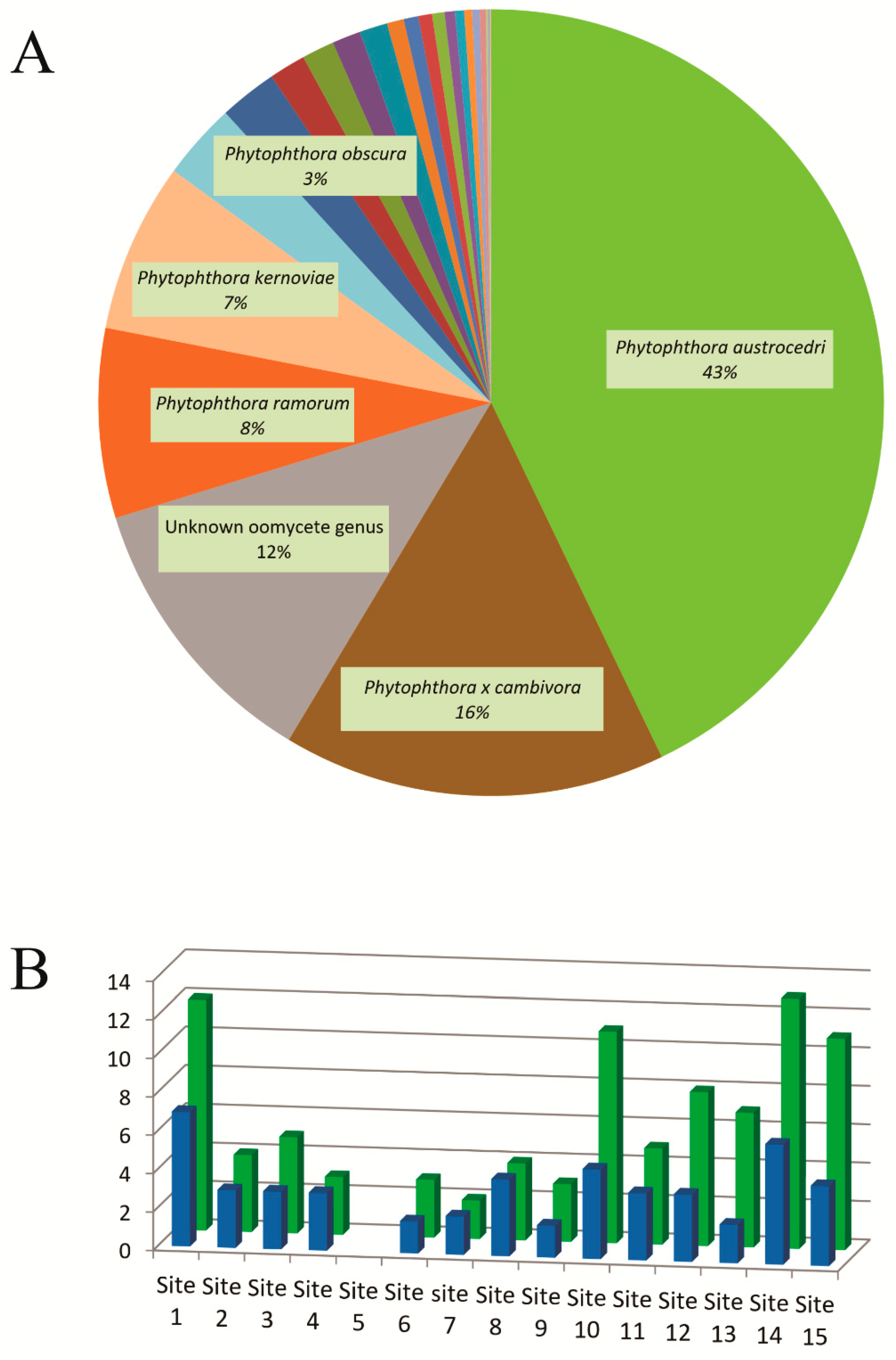 Forests 11 01223 g002