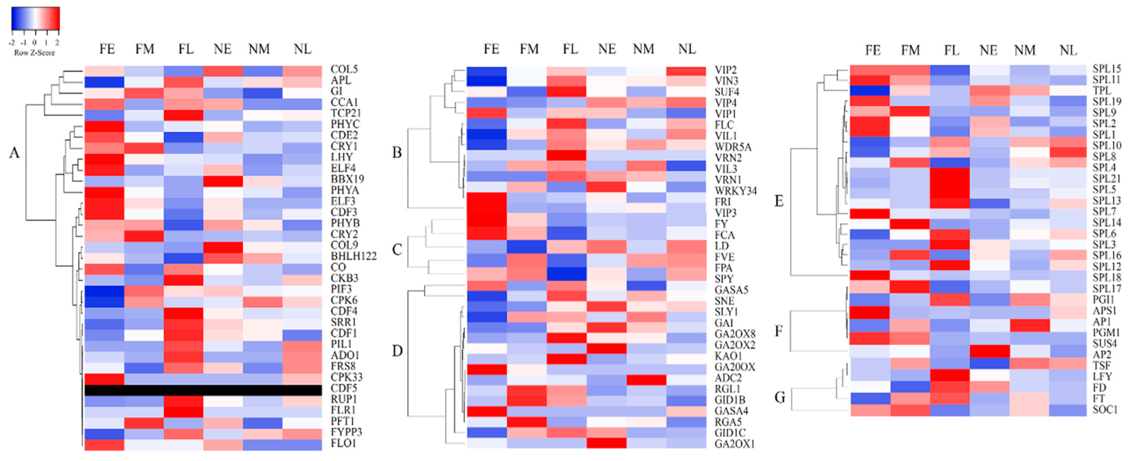 Forests 11 01229 g007