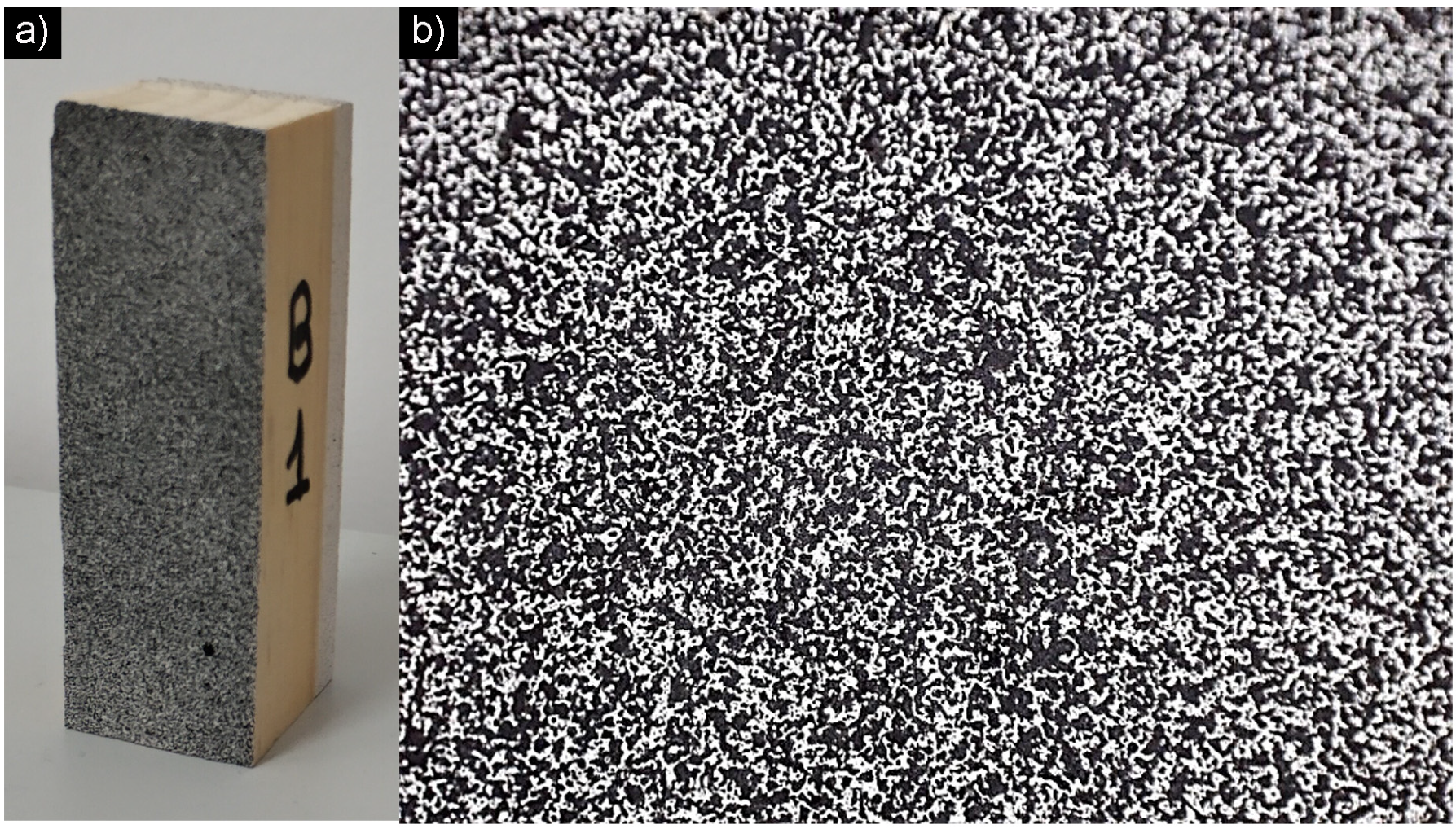 Forests 11 01232 g002