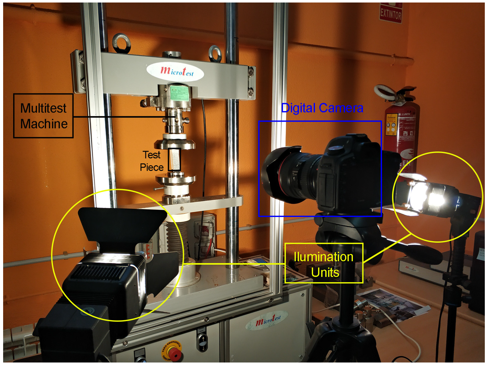 Forests 11 01232 g003