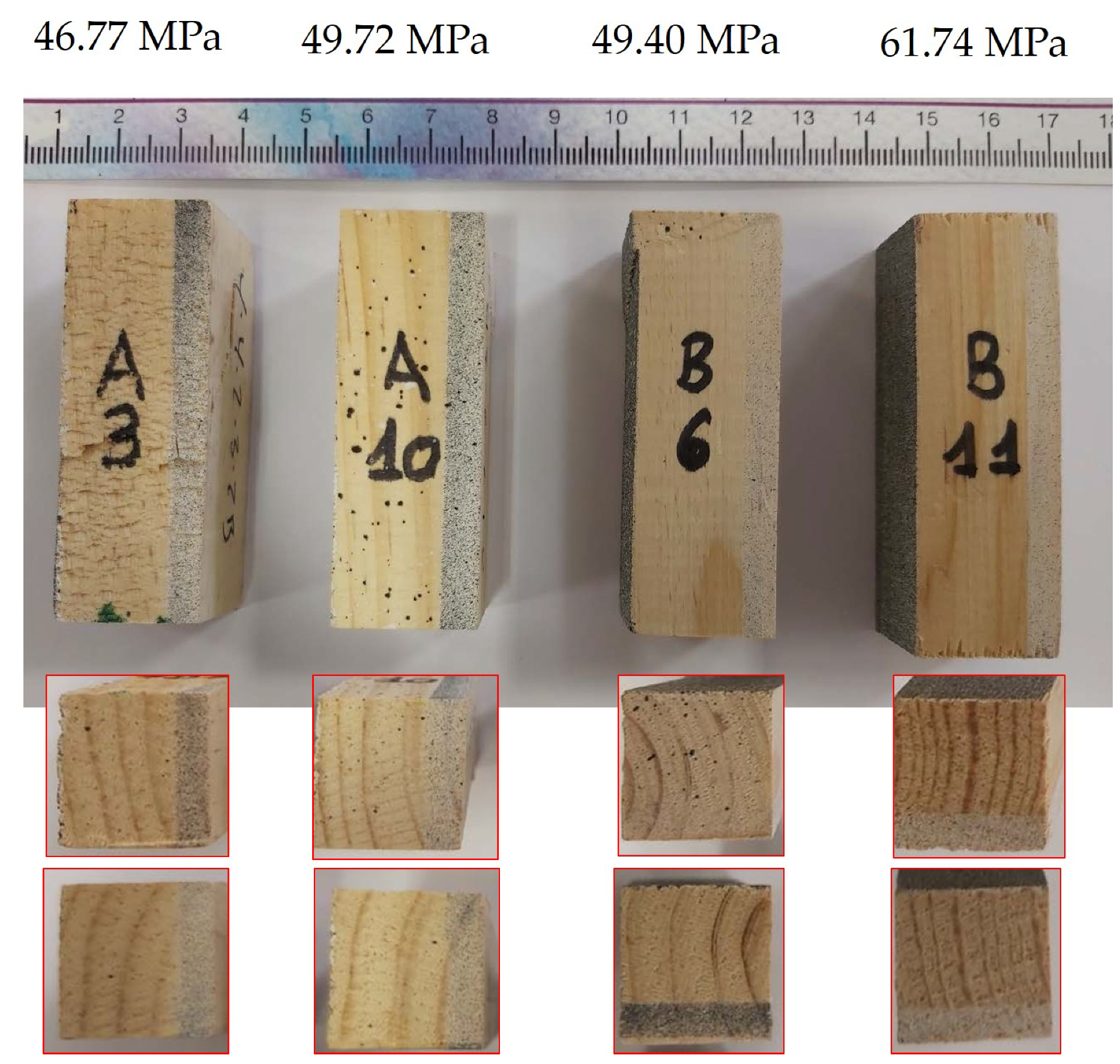 Forests 11 01232 g014
