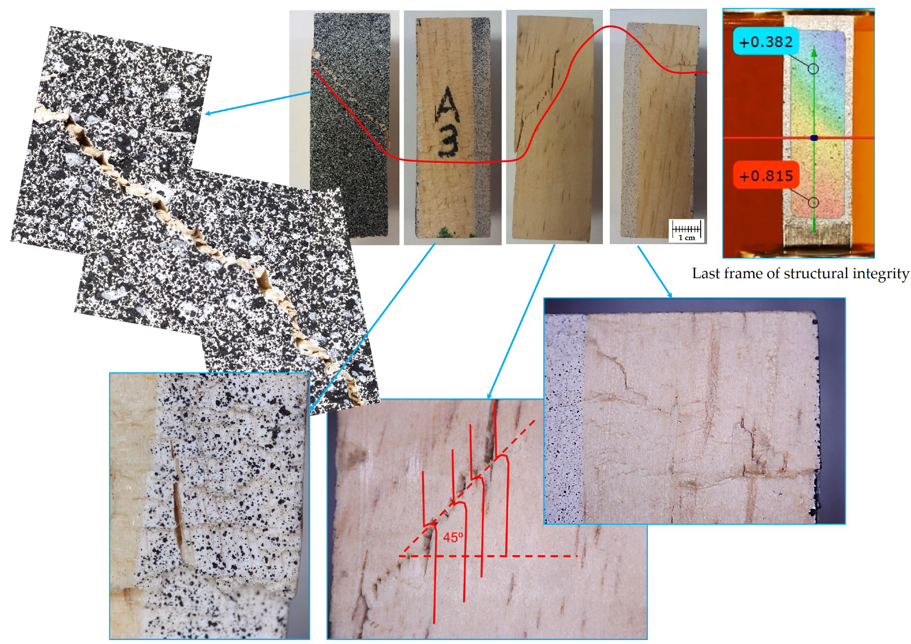 Forests 11 01232 g019