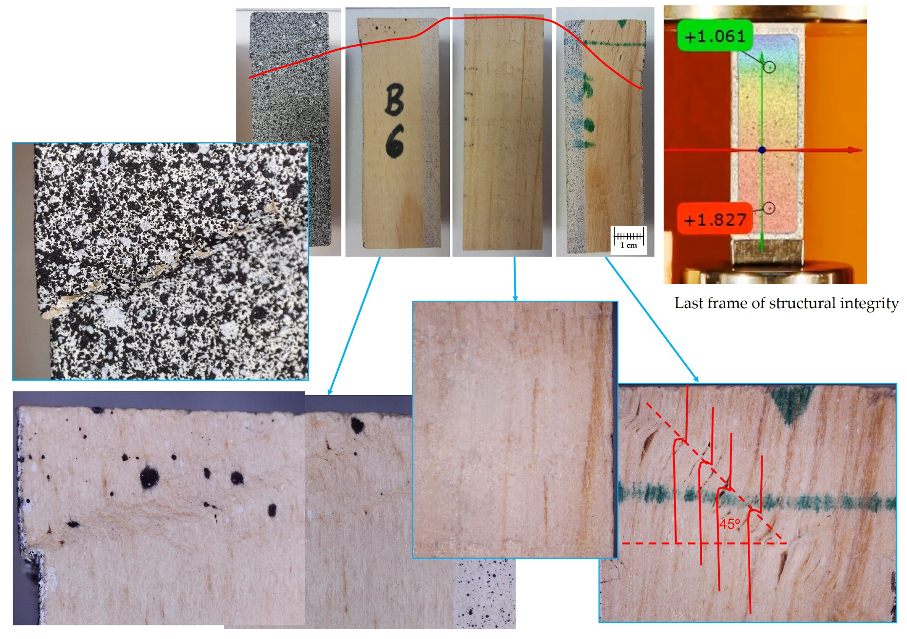Forests 11 01232 g021