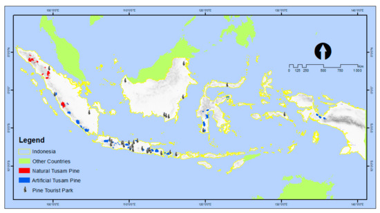 Forests Free Full Text Reforestation And Sustainable Management Of Pinus Merkusii Forest Plantation In Indonesia A Review Html