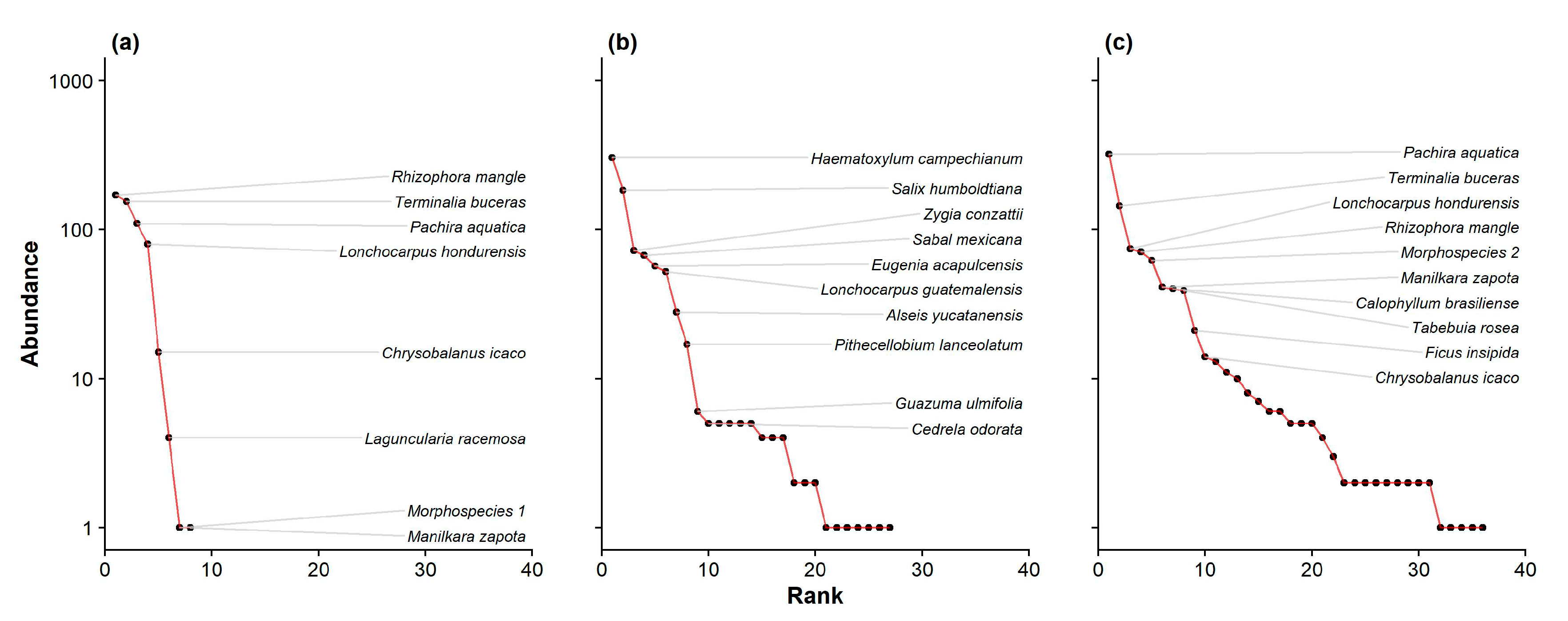 Forests 11 01238 g005 Forests 11 01238 g005