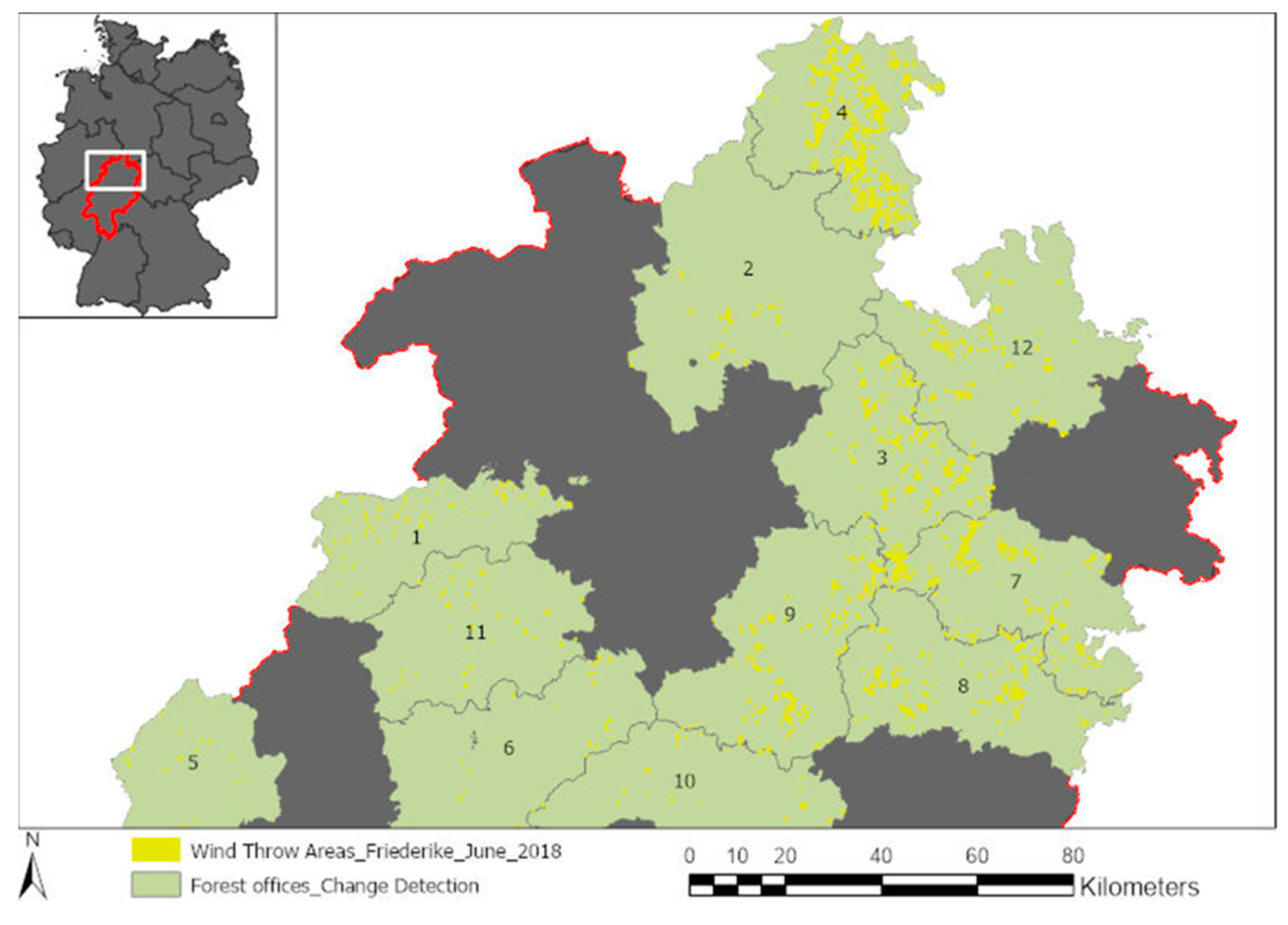 Forests 11 01239 g001