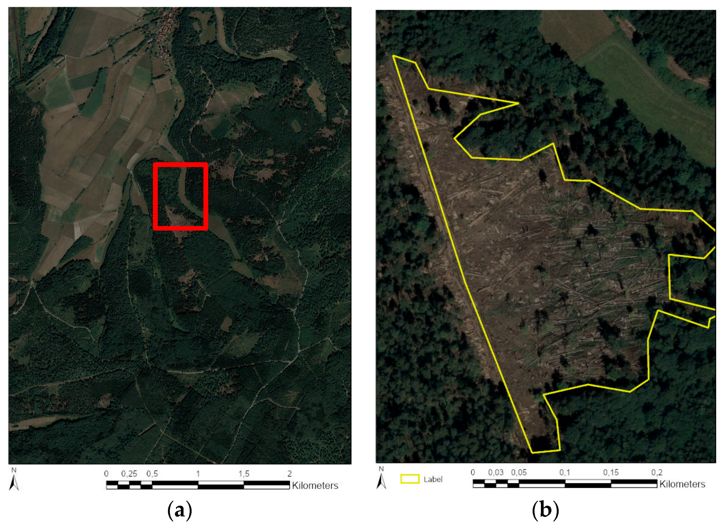 Forests 11 01239 g002